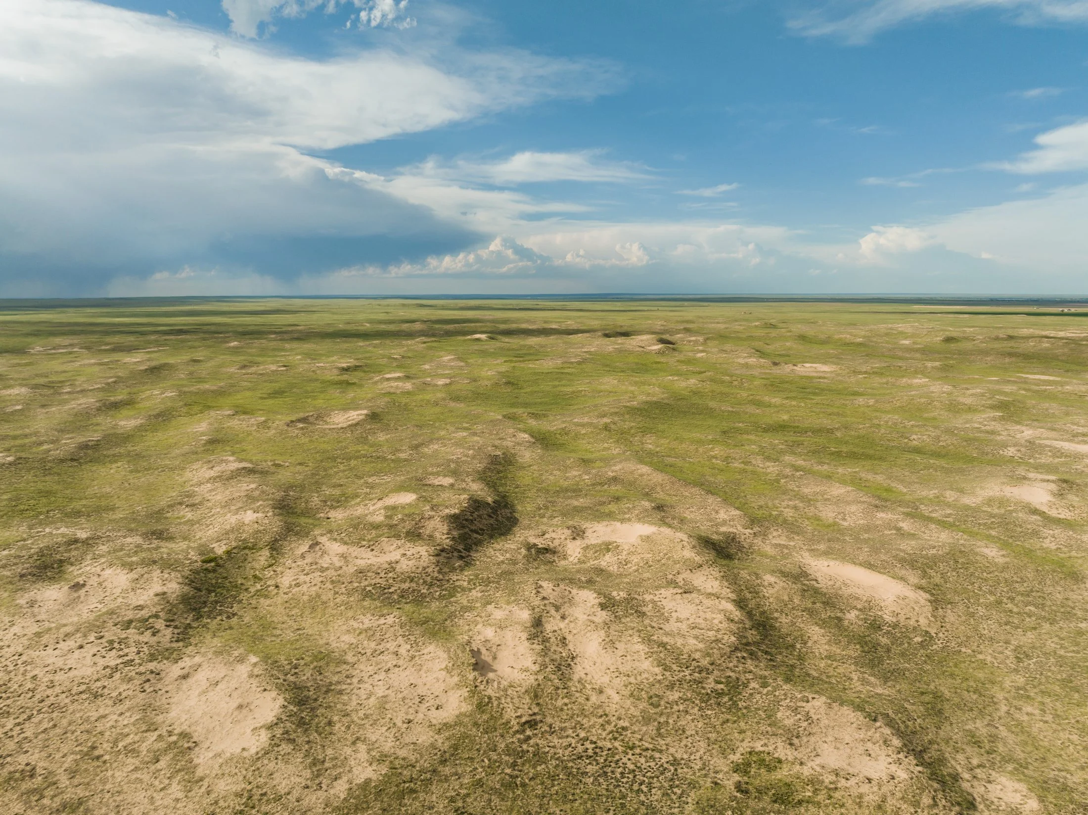 Rodeo Dunes - web size - Marsh 2.JPG