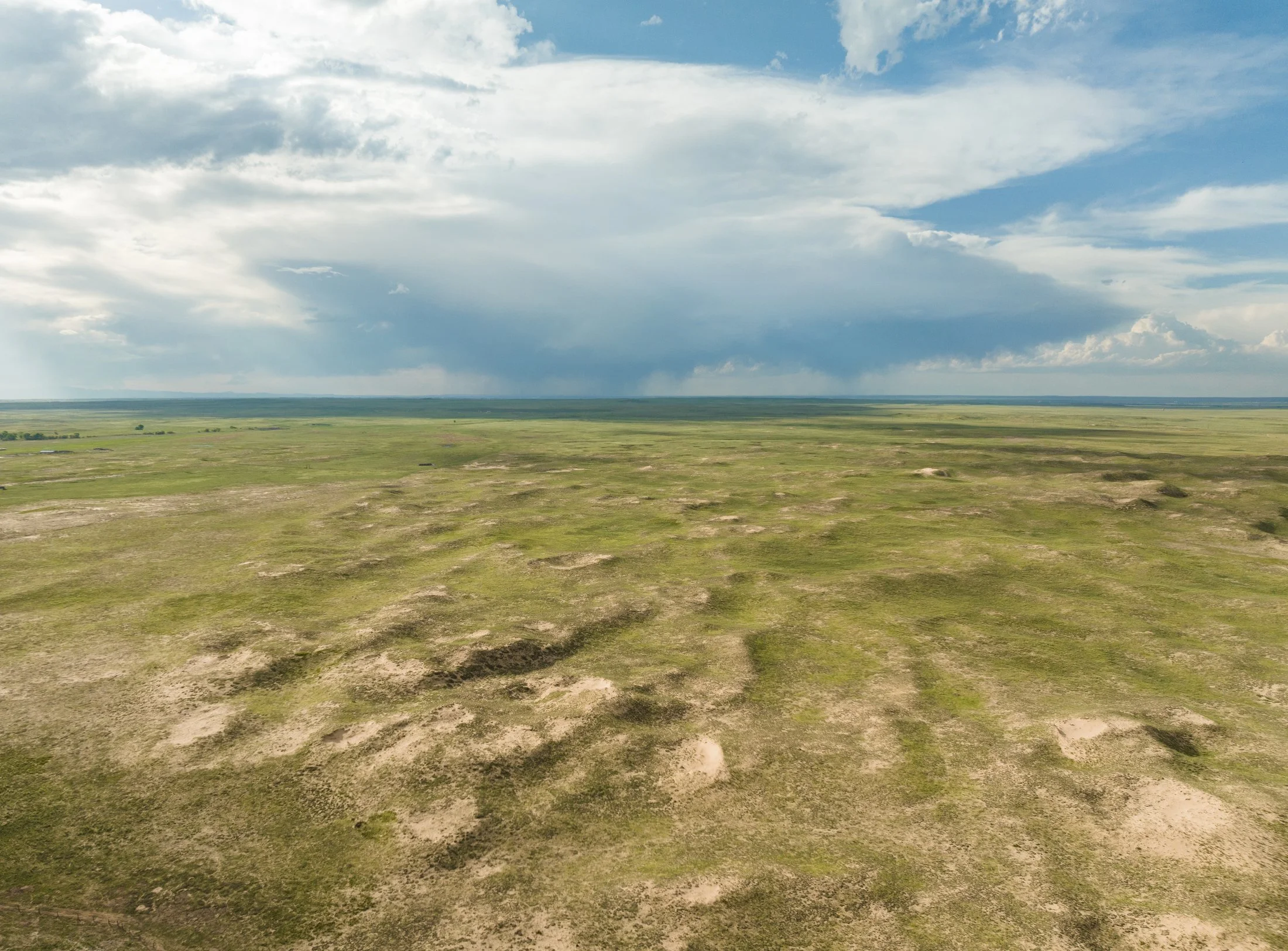 Rodeo Dunes - web size - Marsh 3.JPG