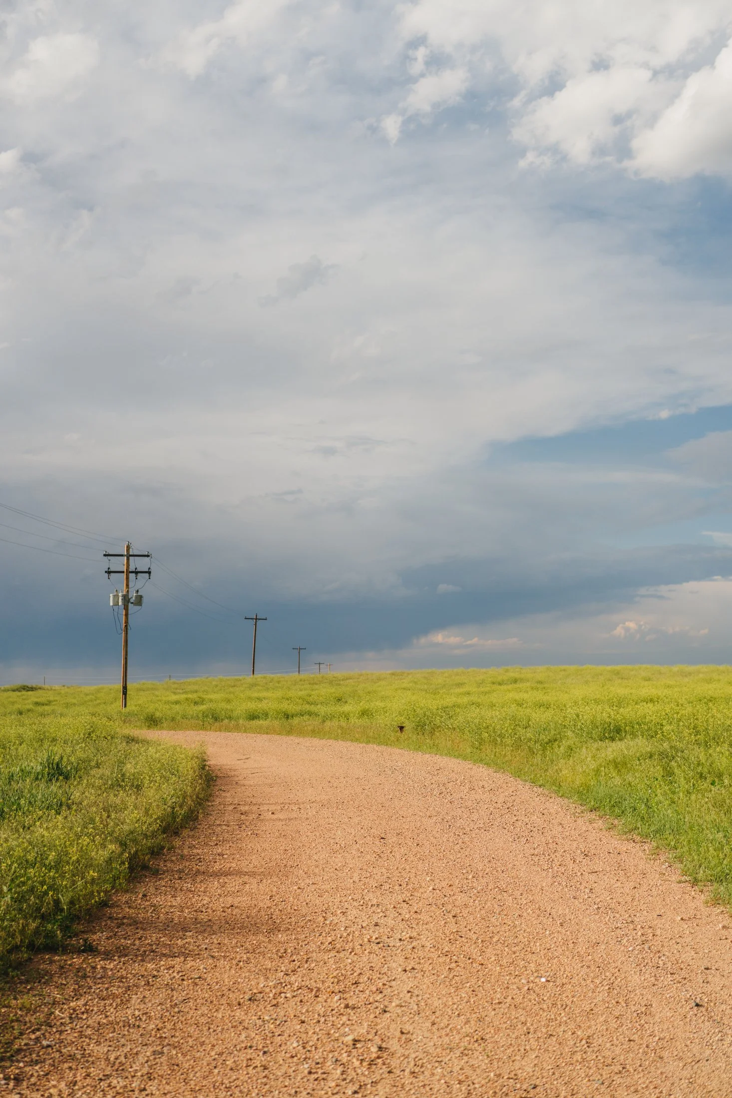 Rodeo Dunes - web size - Marsh 33.JPG