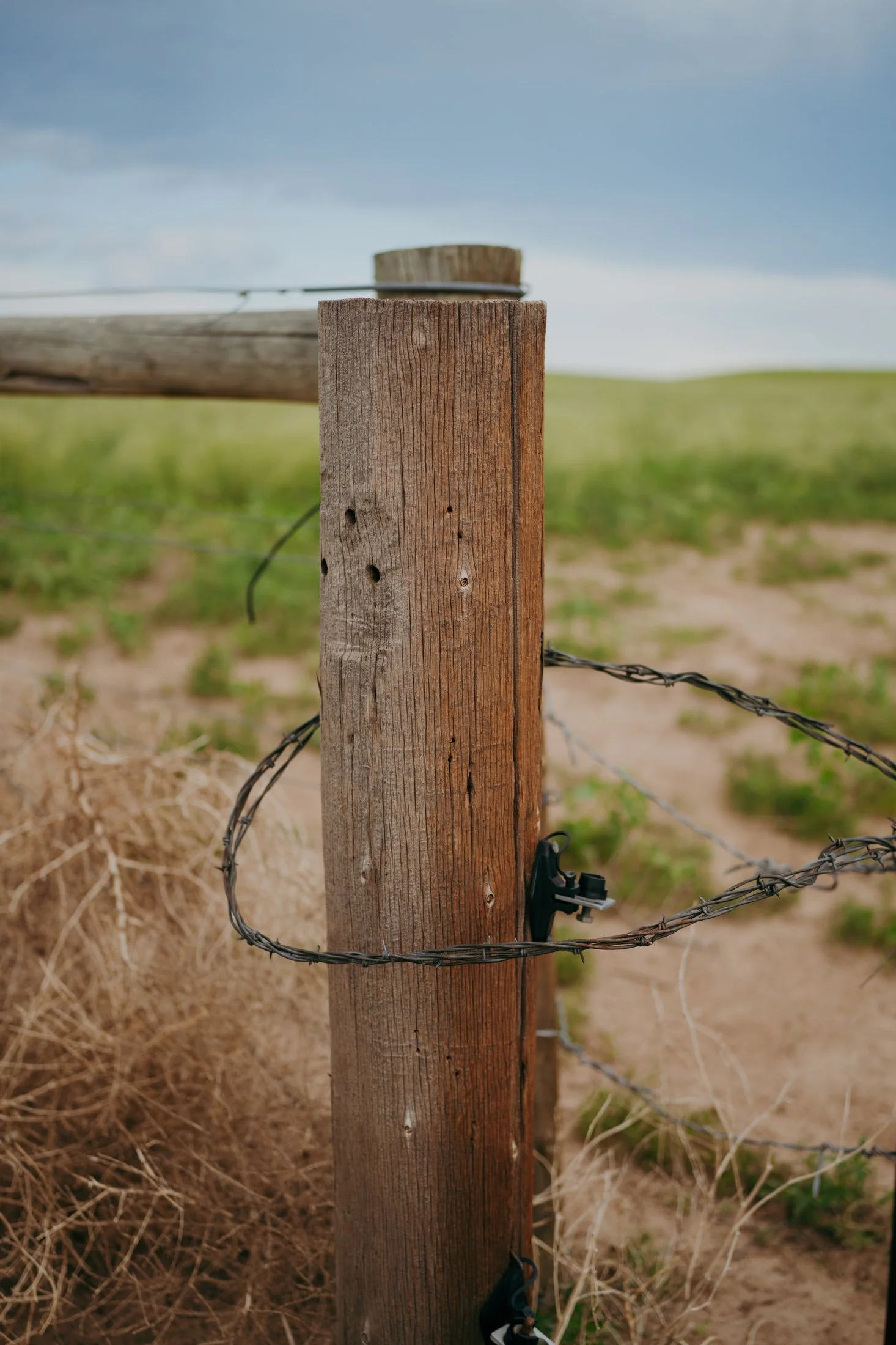 Rodeo Dunes - web size - Marsh 36.JPG