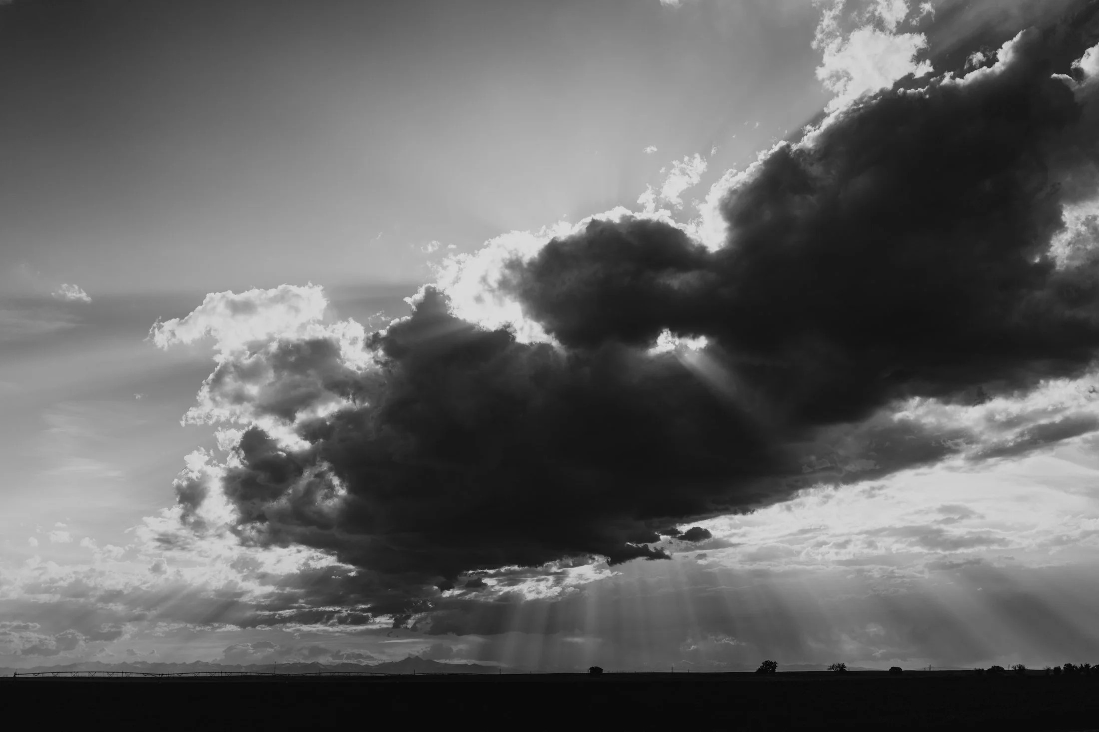 Rodeo Dunes - web size - Marsh 37.JPG