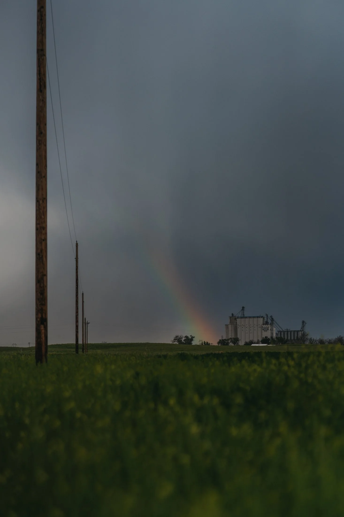 Rodeo Dunes - web size - Marsh 43.JPG