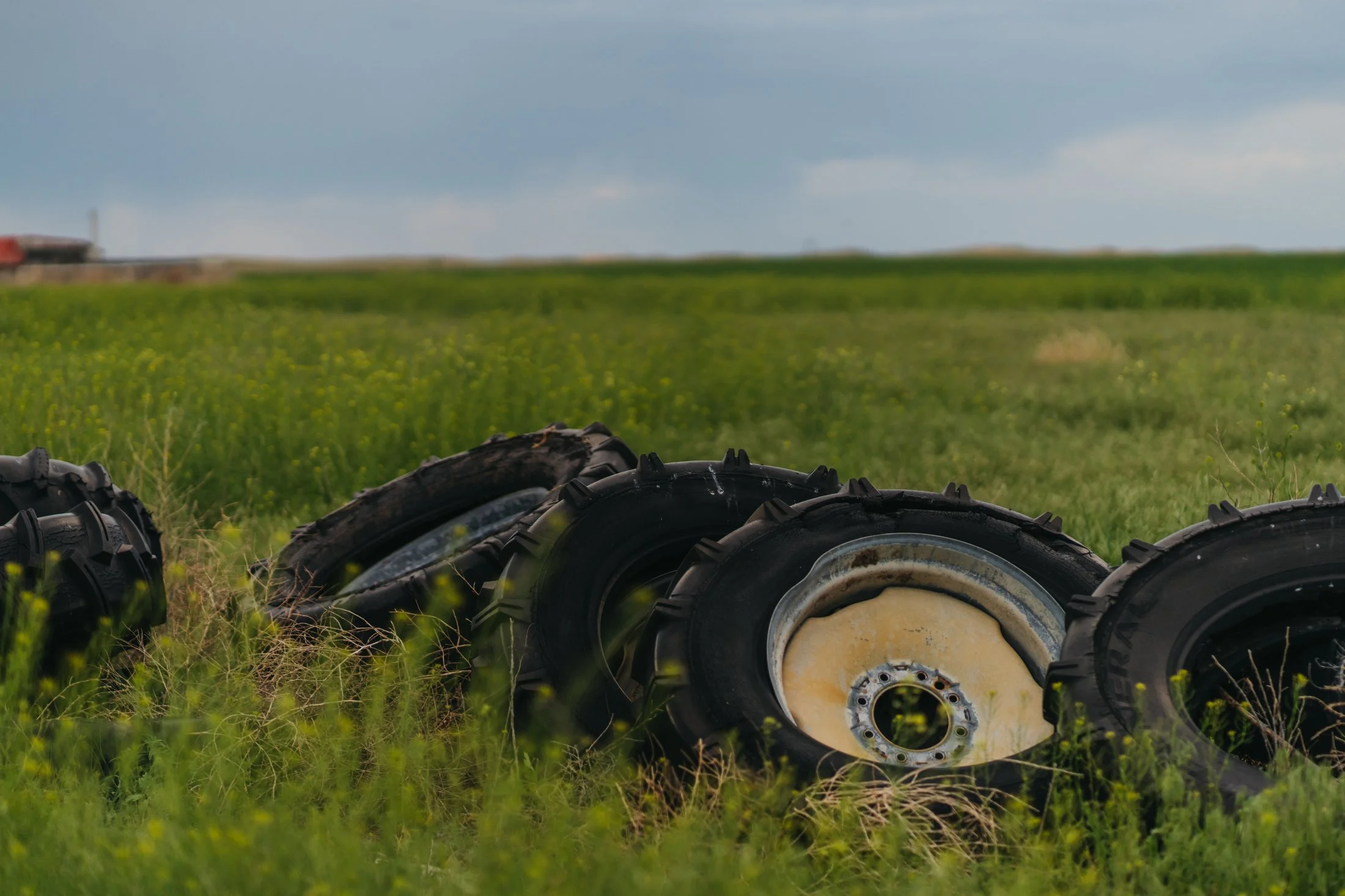 Rodeo Dunes - web size - Marsh 51.JPG