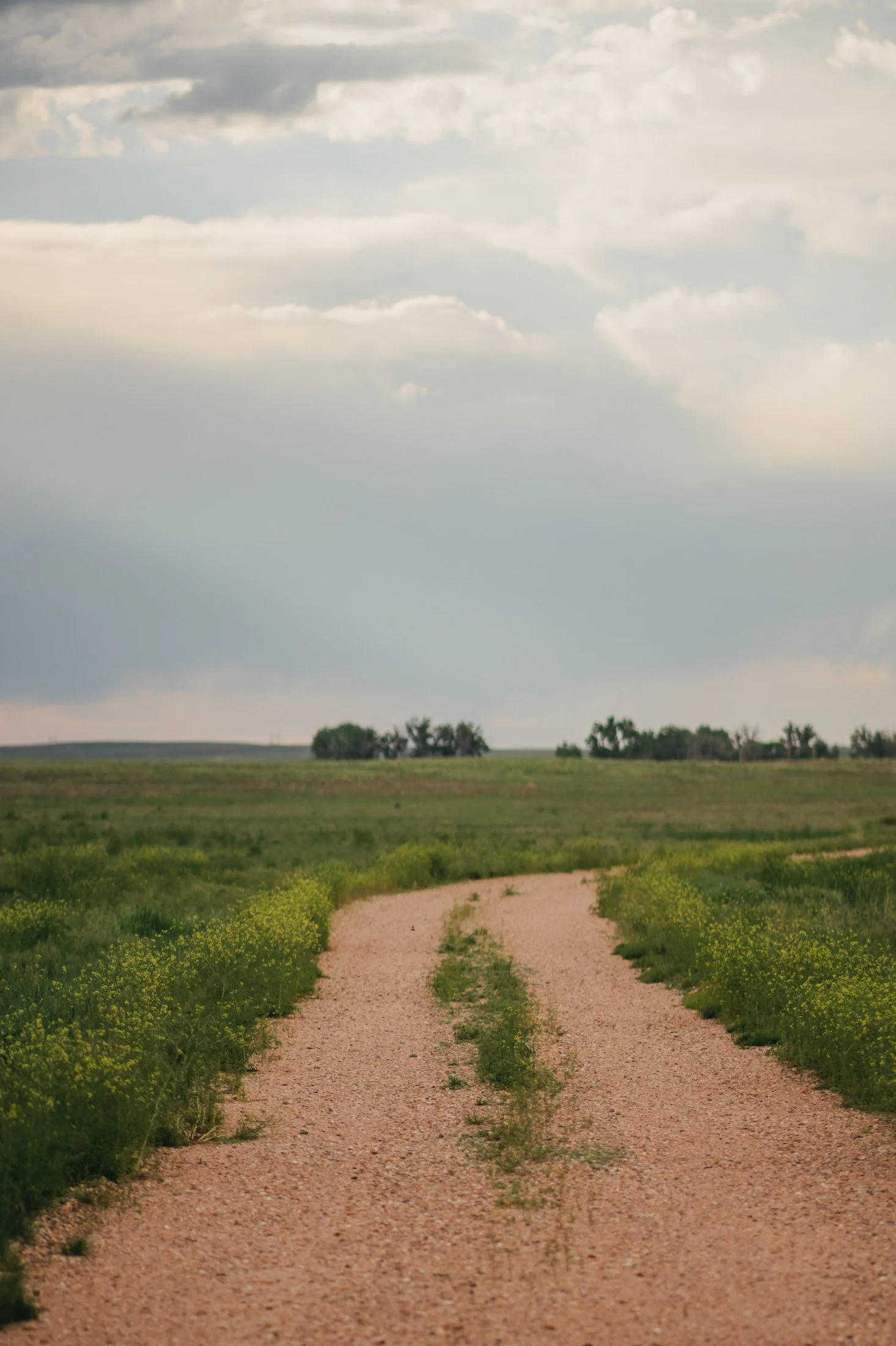 Rodeo Dunes - web size - Marsh 52.JPG