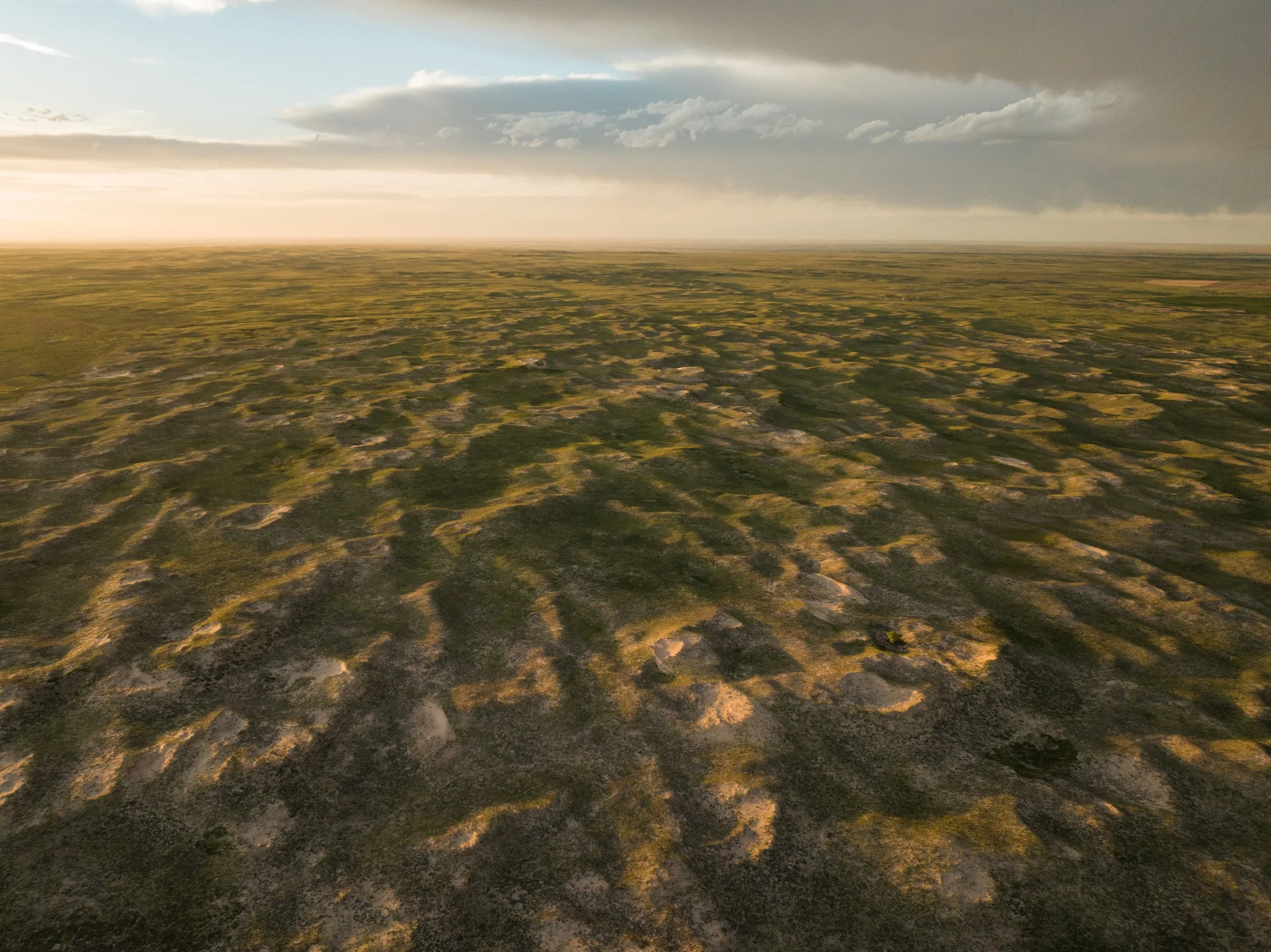 Rodeo Dunes - web size - Marsh 71.JPG