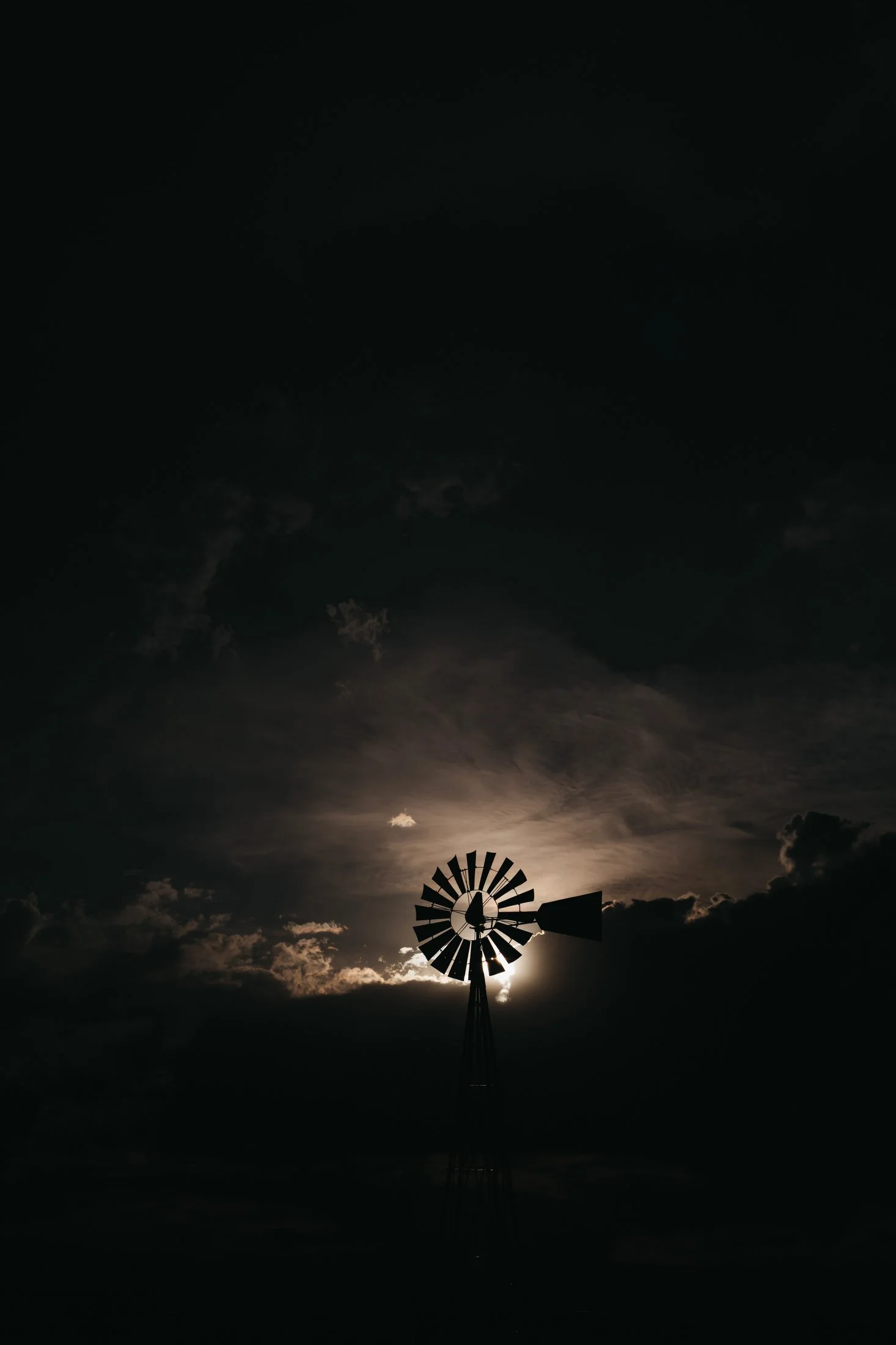 Rodeo Dunes - web size - Marsh 86.JPG