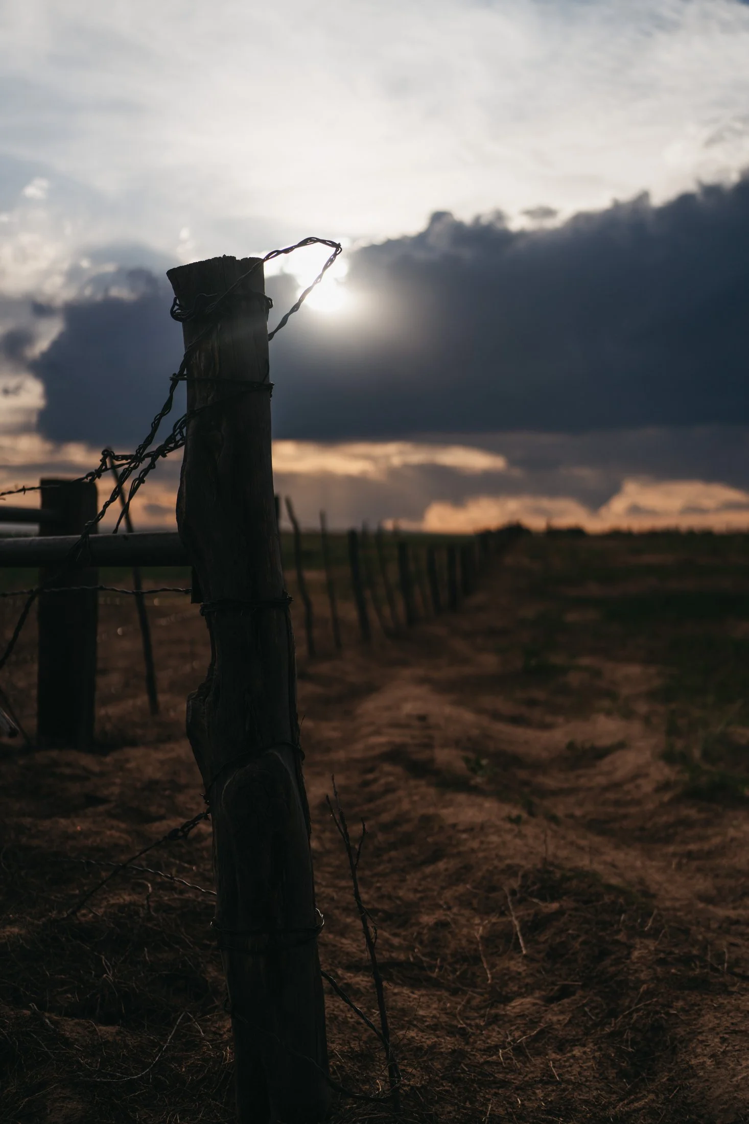 Rodeo Dunes - web size - Marsh 94.JPG