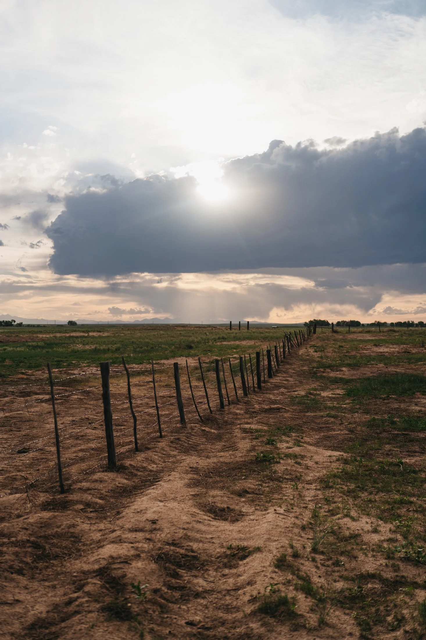 Rodeo Dunes - web size - Marsh 95.JPG
