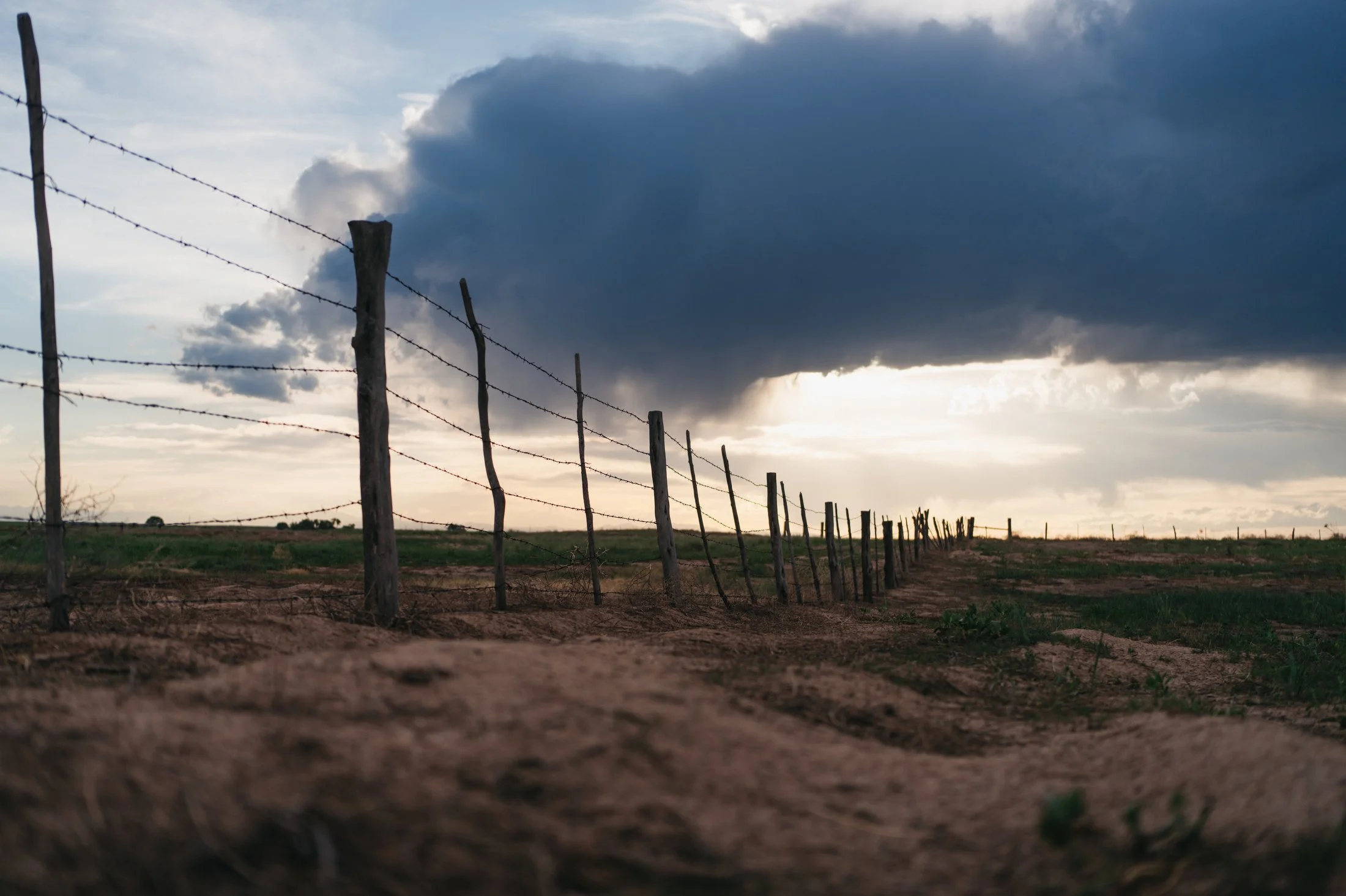 Rodeo Dunes - web size - Marsh 99.JPG