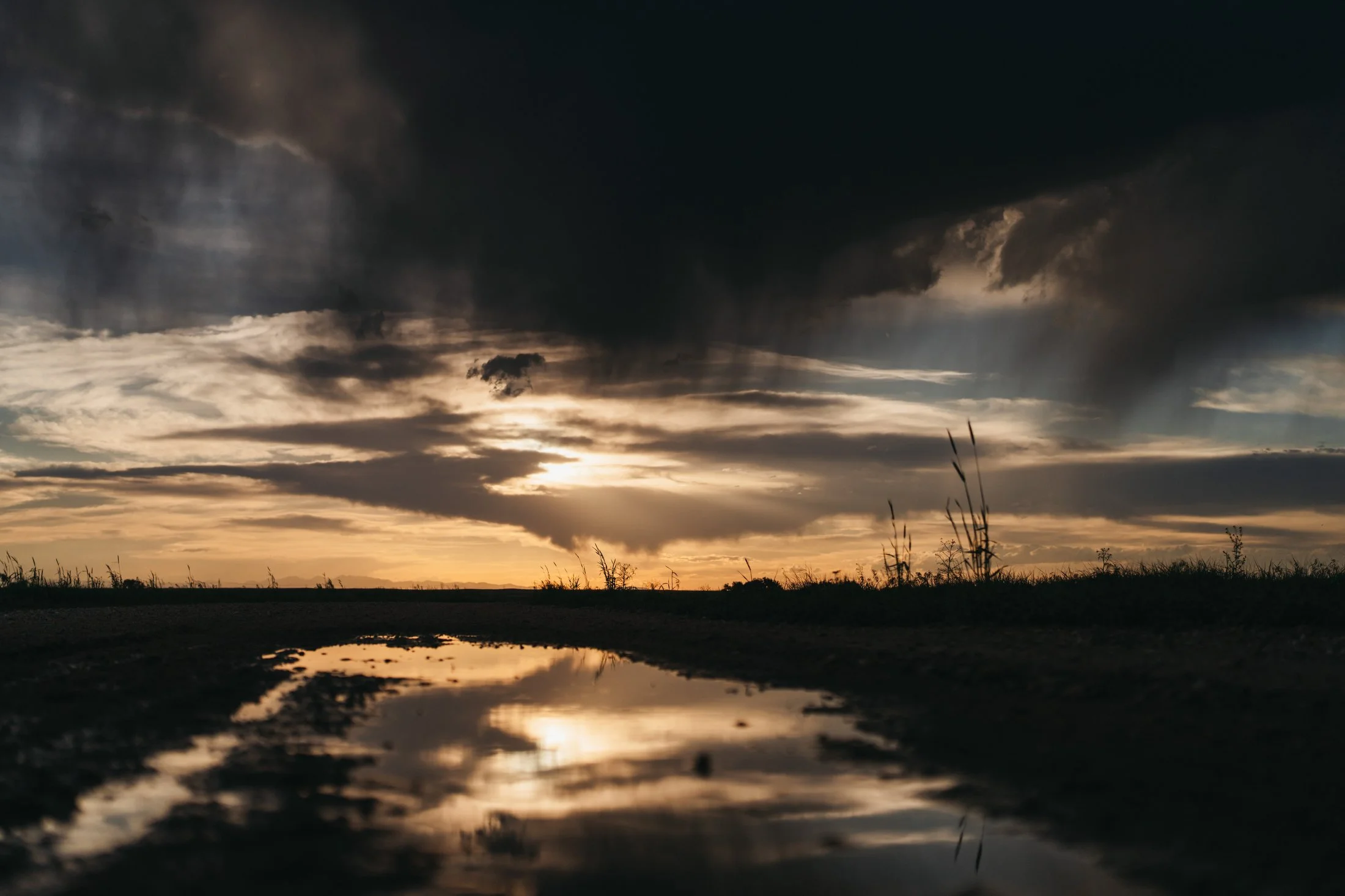 Rodeo Dunes - web size - Marsh 104.JPG