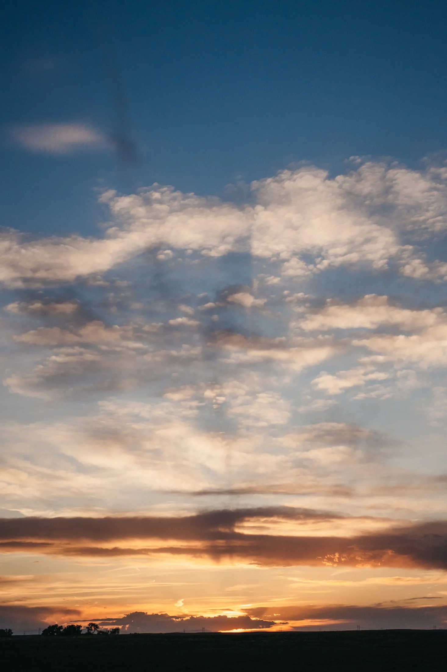 Rodeo Dunes - web size - Marsh 111.JPG
