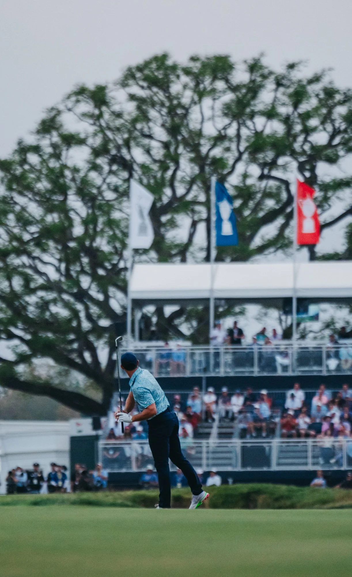 US Open Los Angeles Country Club - Marsh 43.JPG