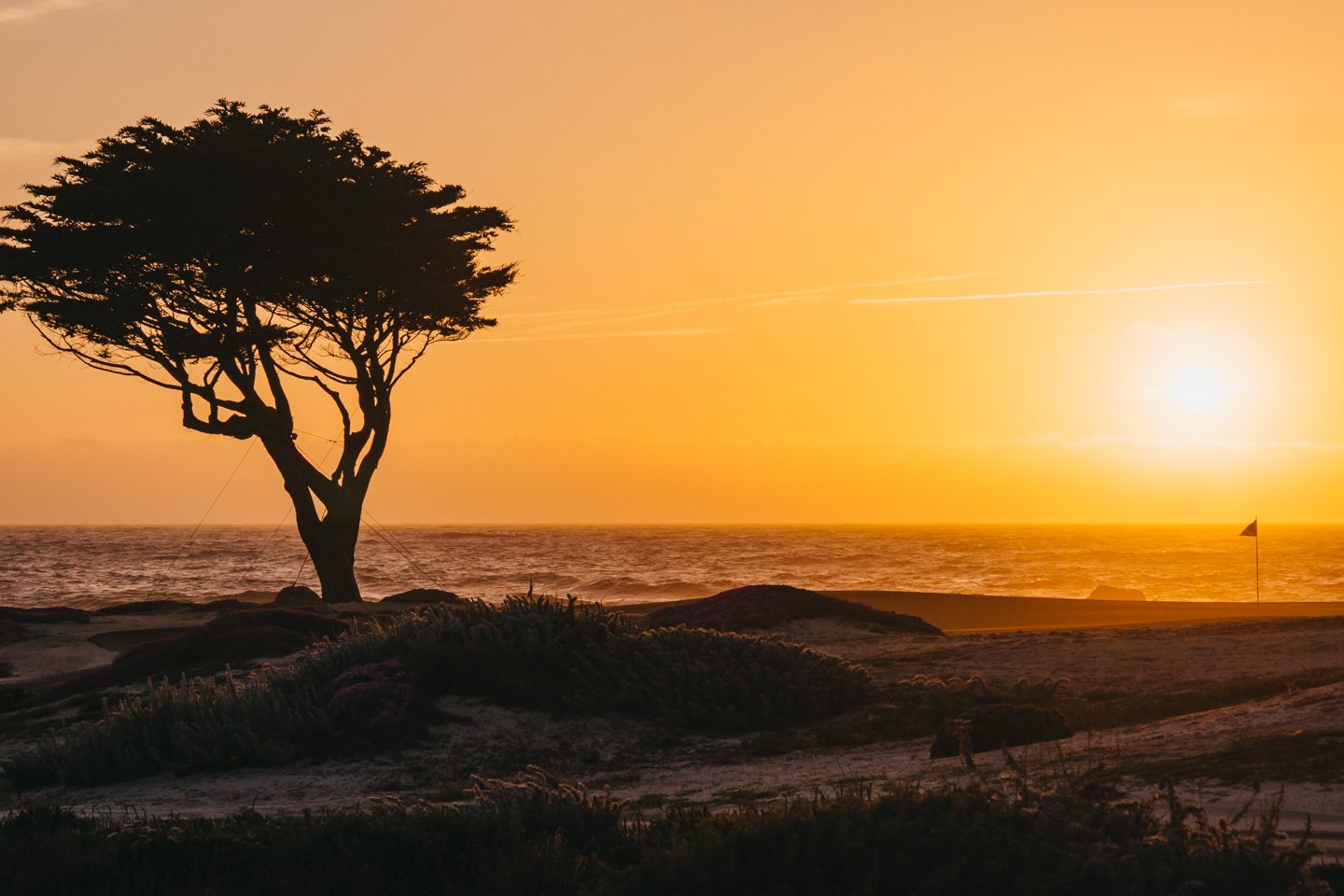 THE HAY - MARSH - 04-21 - 76.JPG