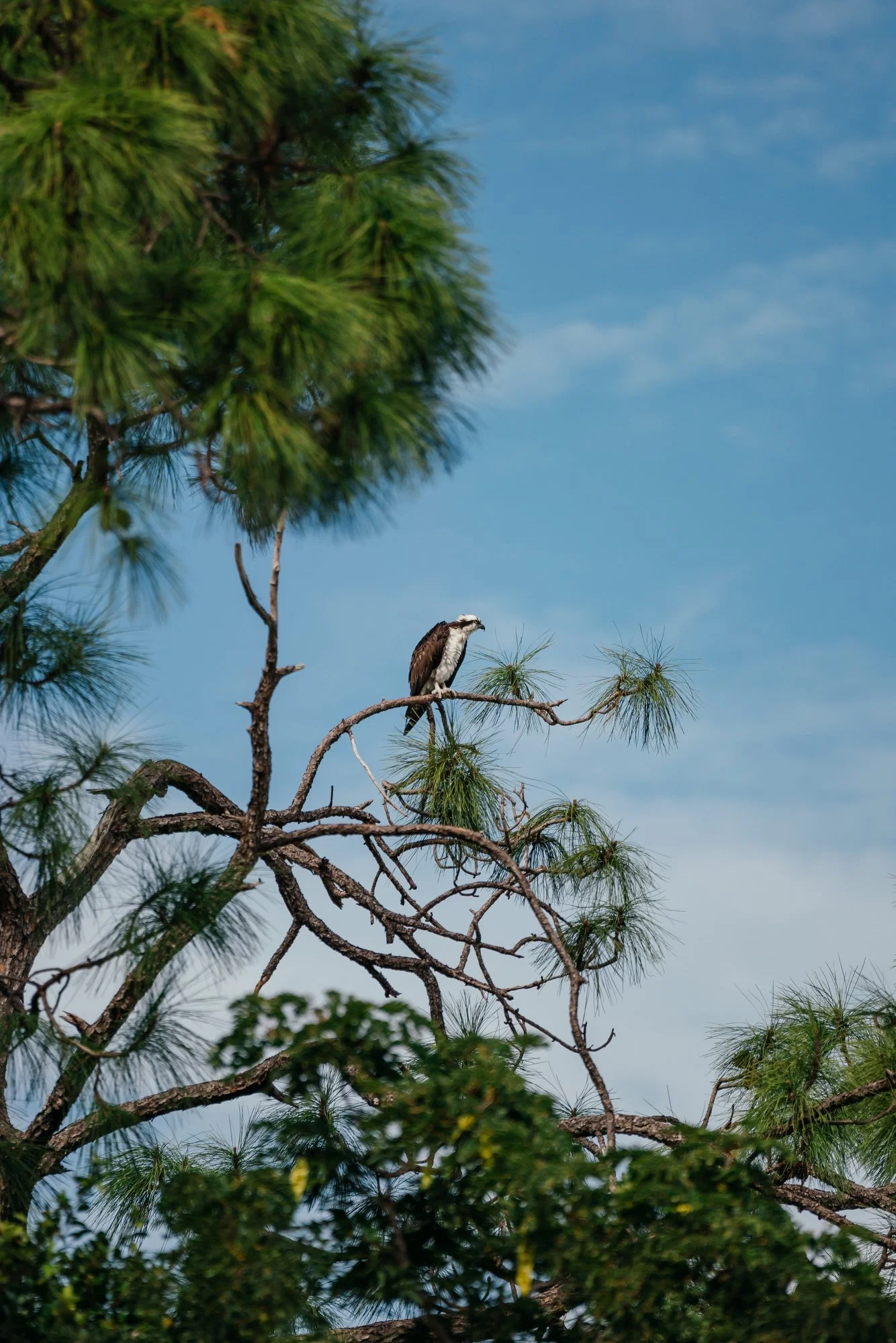 GTI - Friday - Marsh-162.JPG