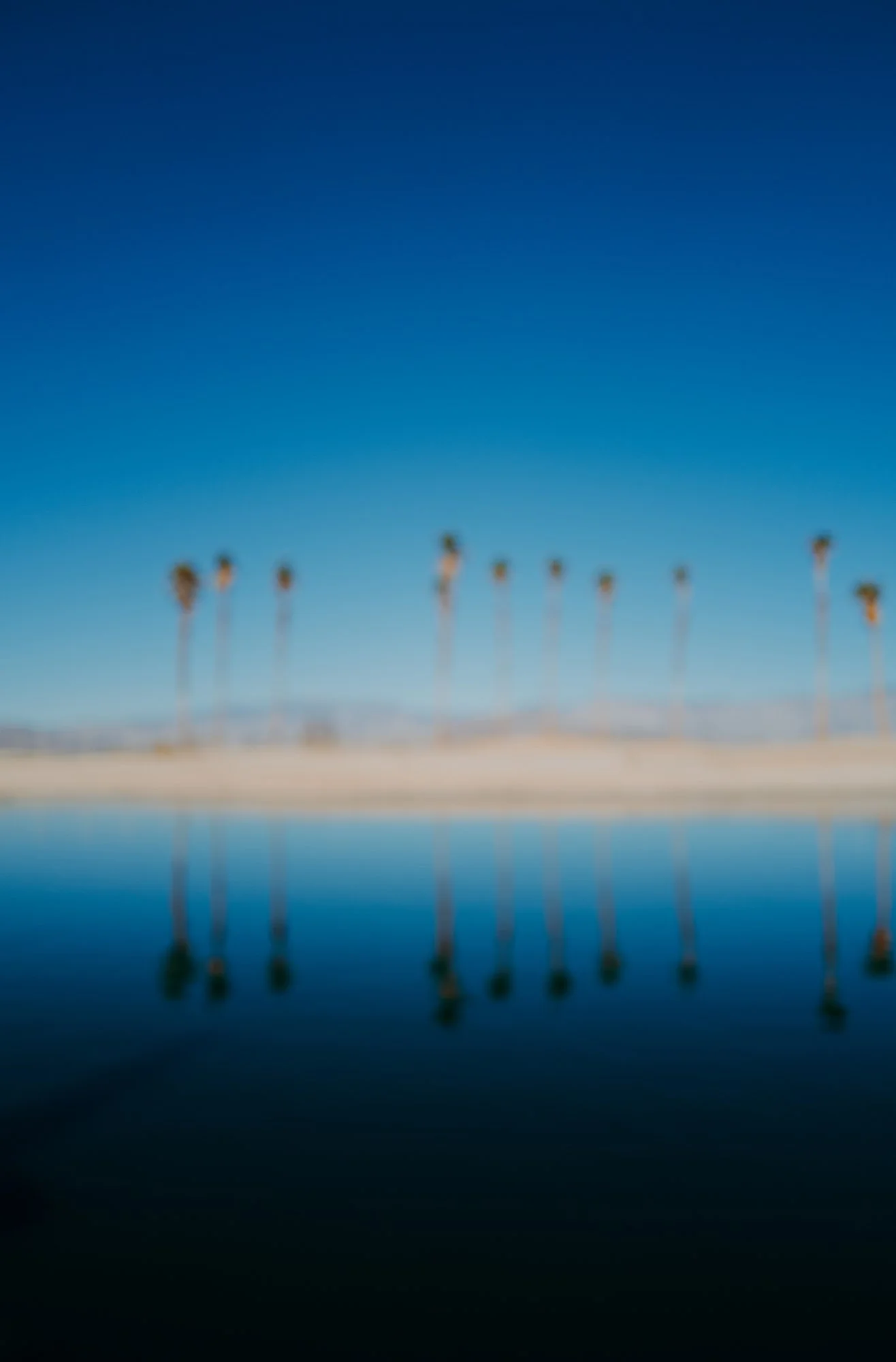 Rams Hill - Leica - Marsh 91.JPG