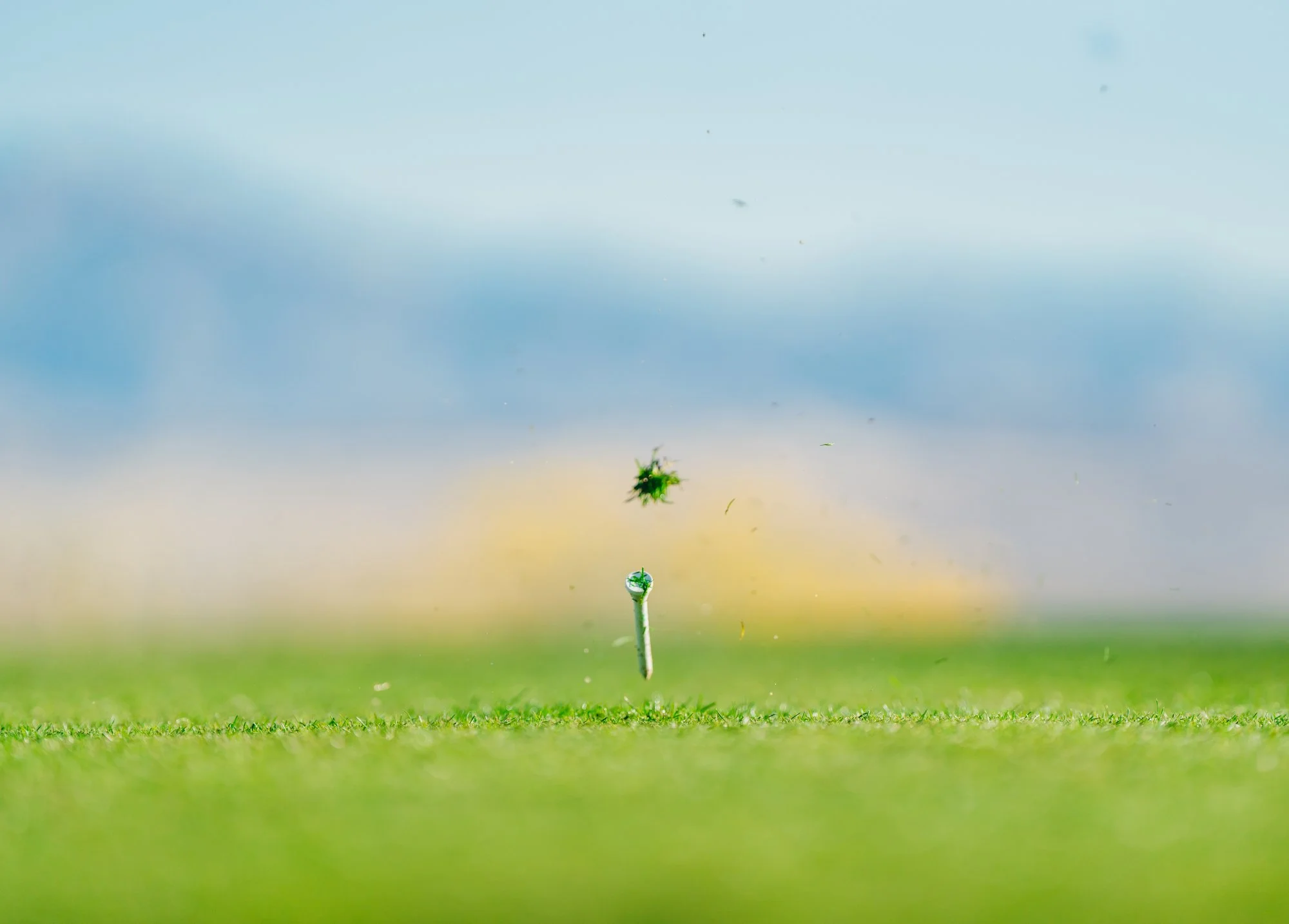 Rams Hill - Sony - Marsh 293.JPG