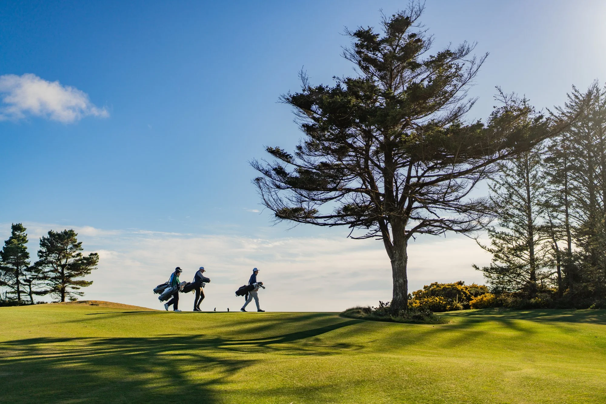 Arccos Bandon - Marsh-272.JPG