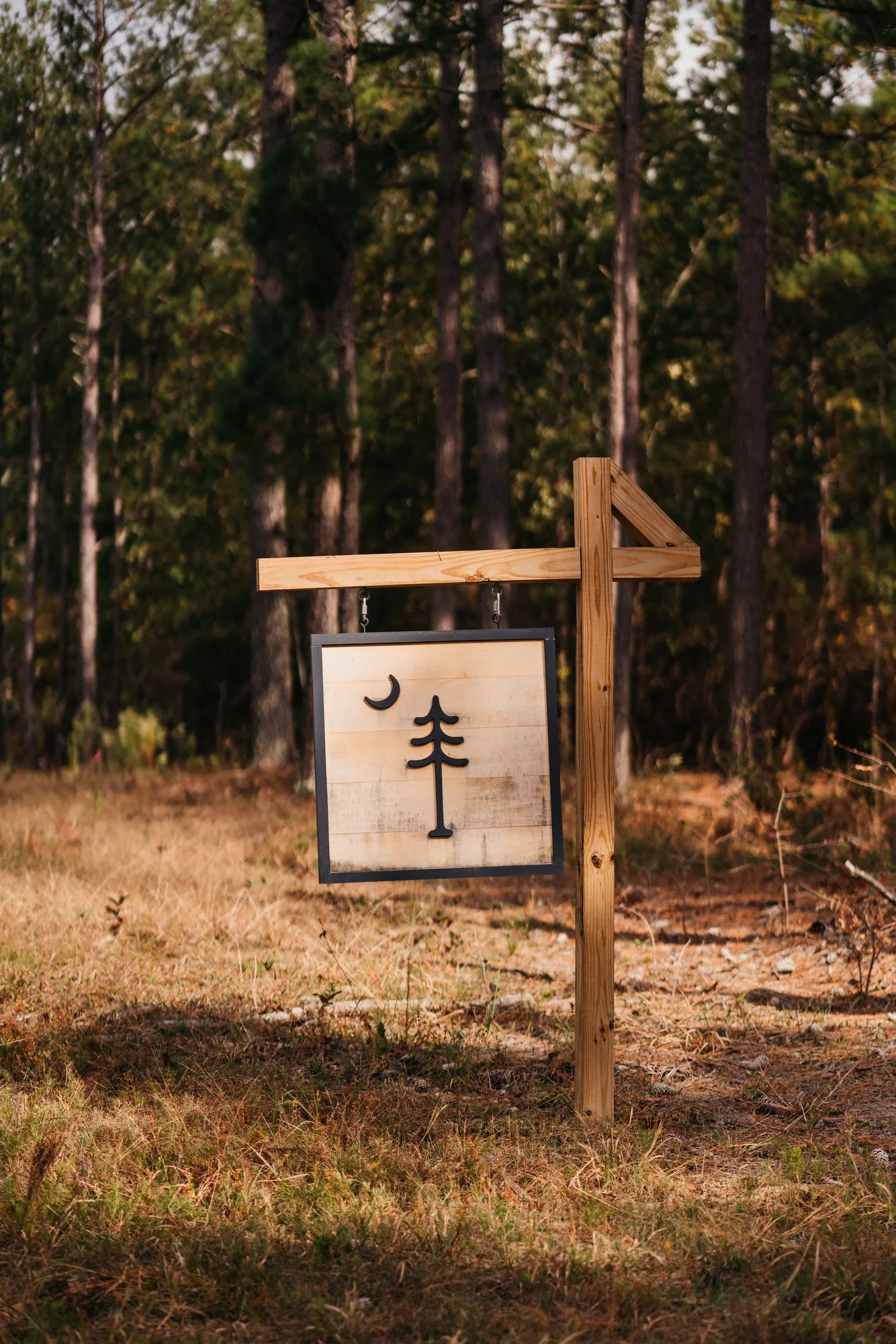 Tree Farm Photos 2023 Marsh - 1.JPG