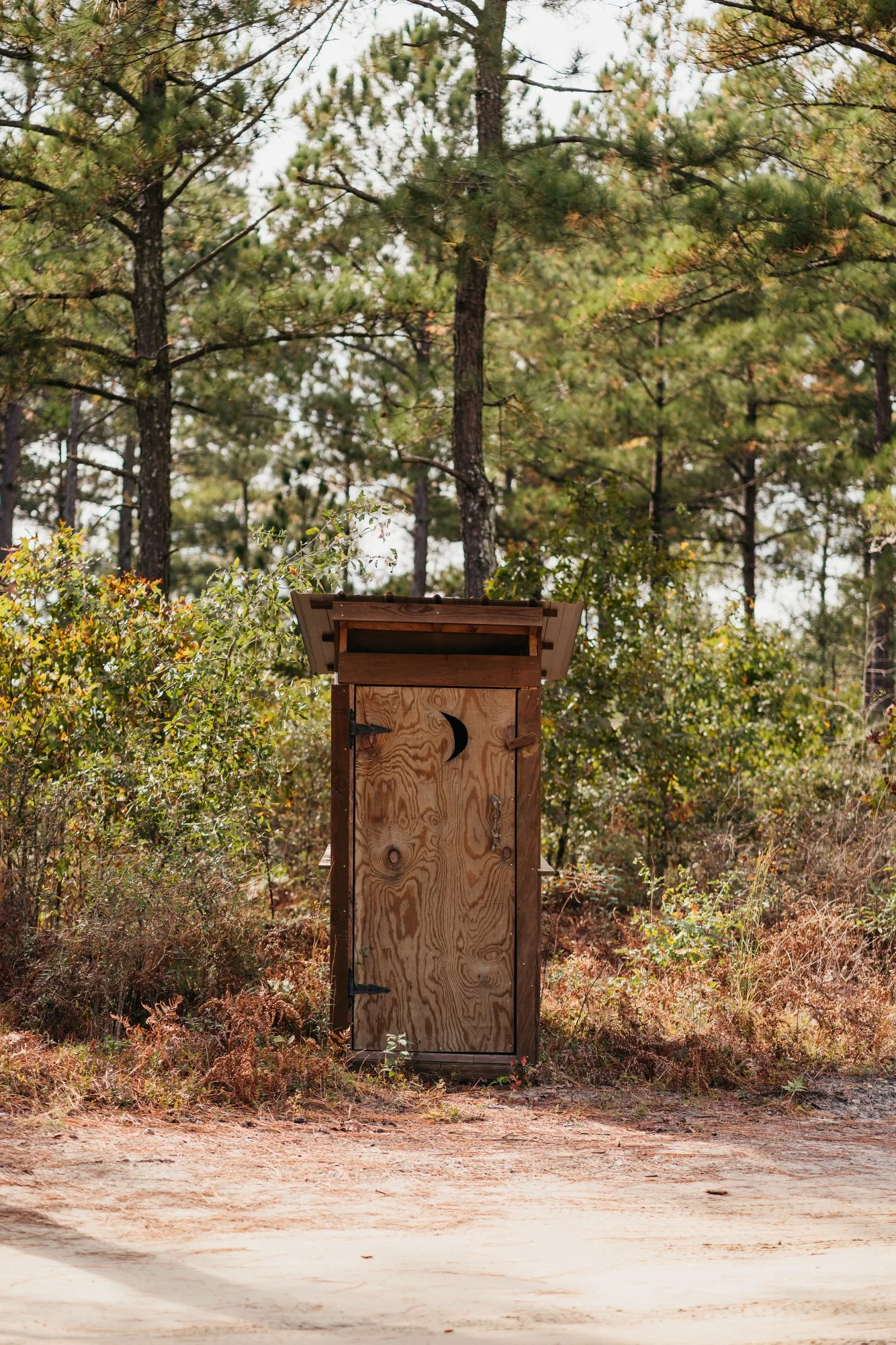 Tree Farm Photos 2023 Marsh - 5.JPG