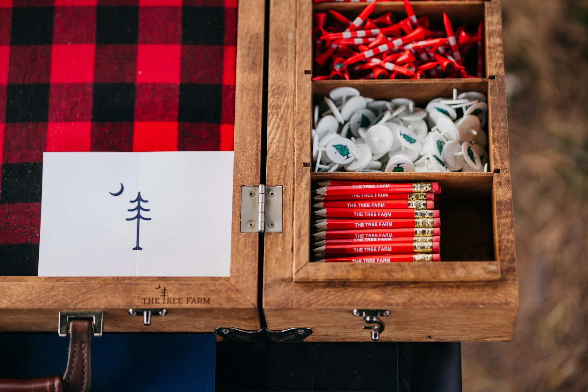 Tree Farm Photos 2023 Marsh - 11.JPG