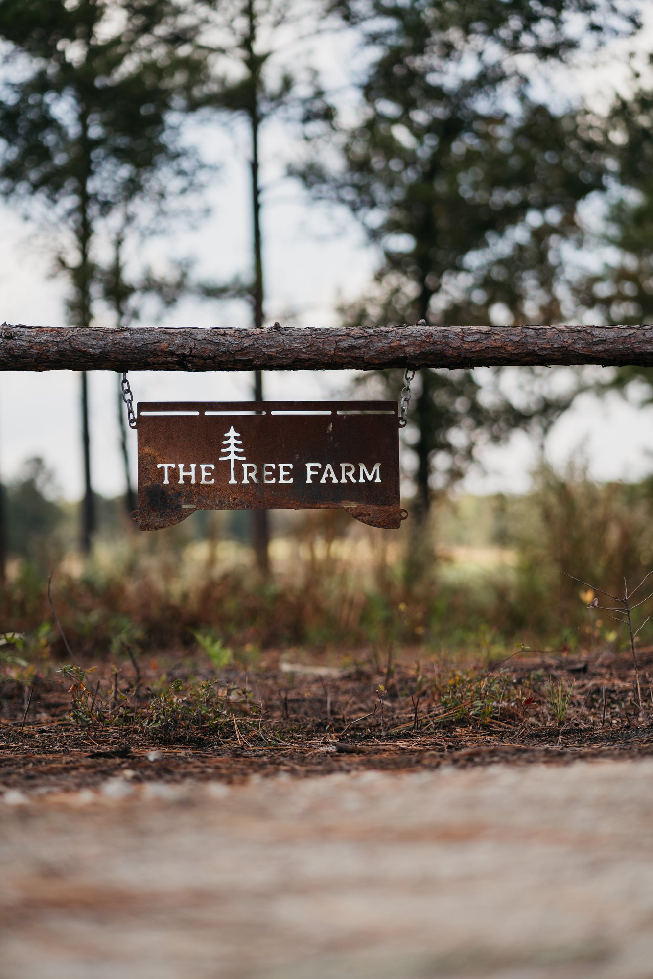 Tree Farm Photos 2023 Marsh - 23.JPG