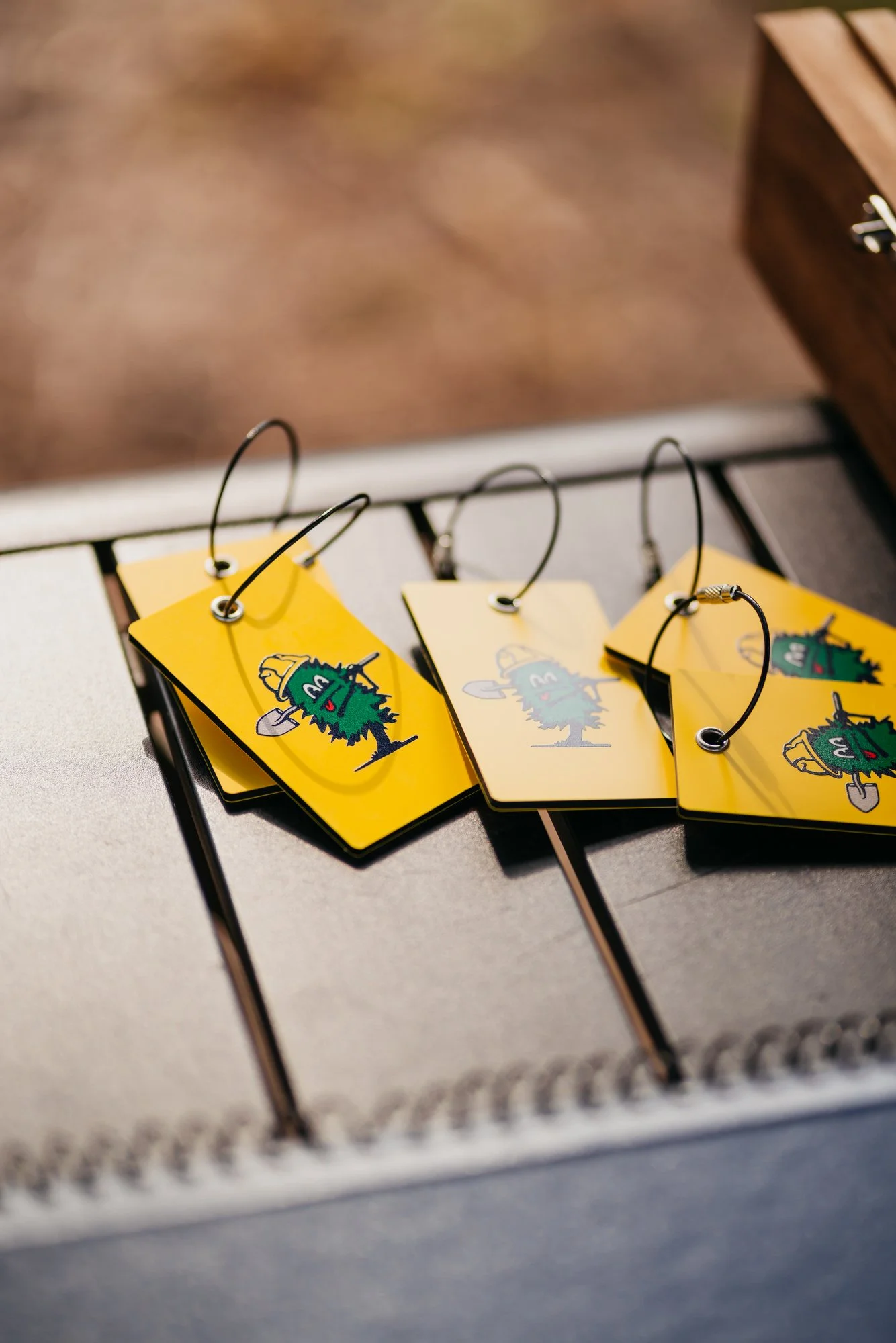 Tree Farm Photos 2023 Marsh - 26.JPG