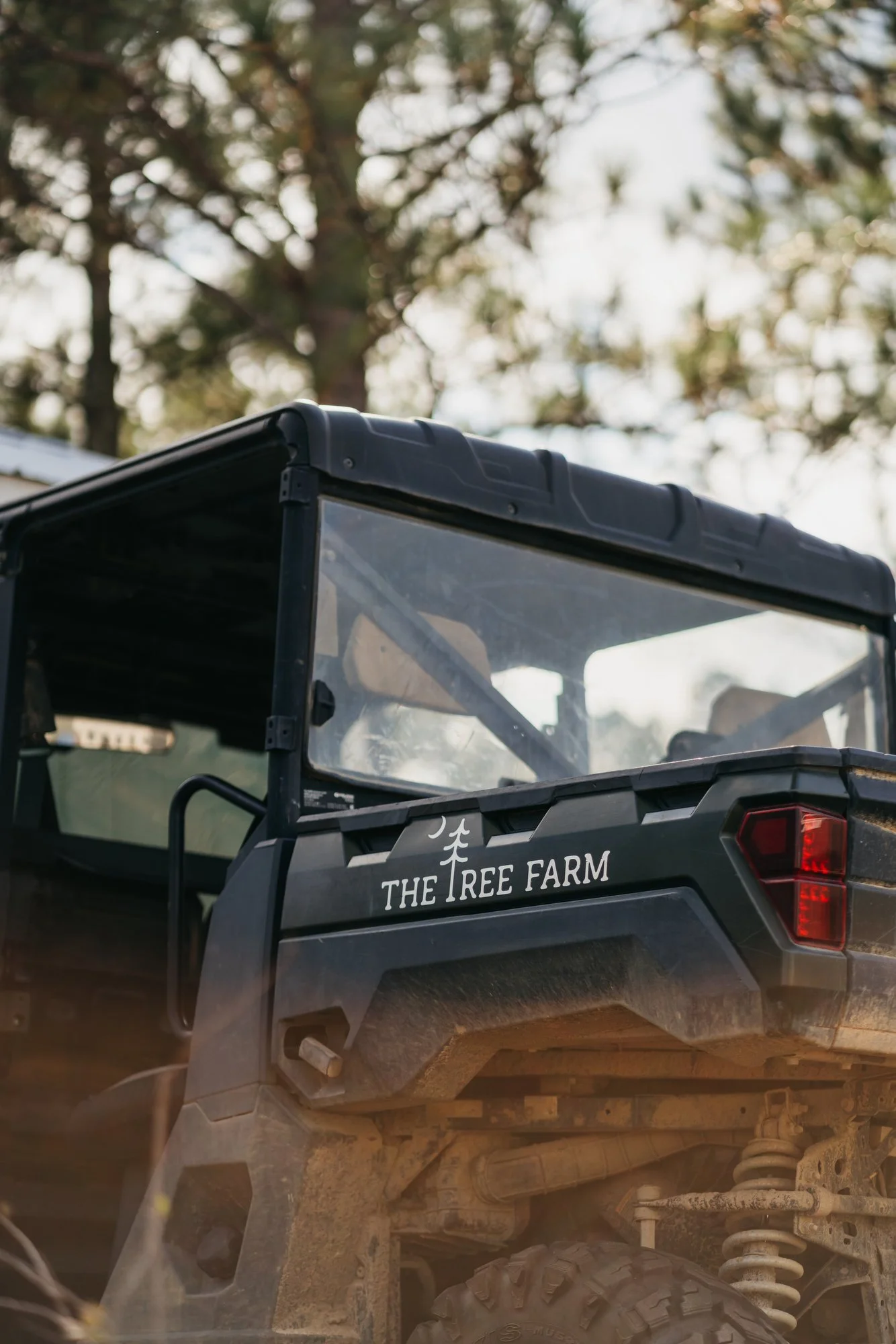 Tree Farm Photos 2023 Marsh - 28.JPG