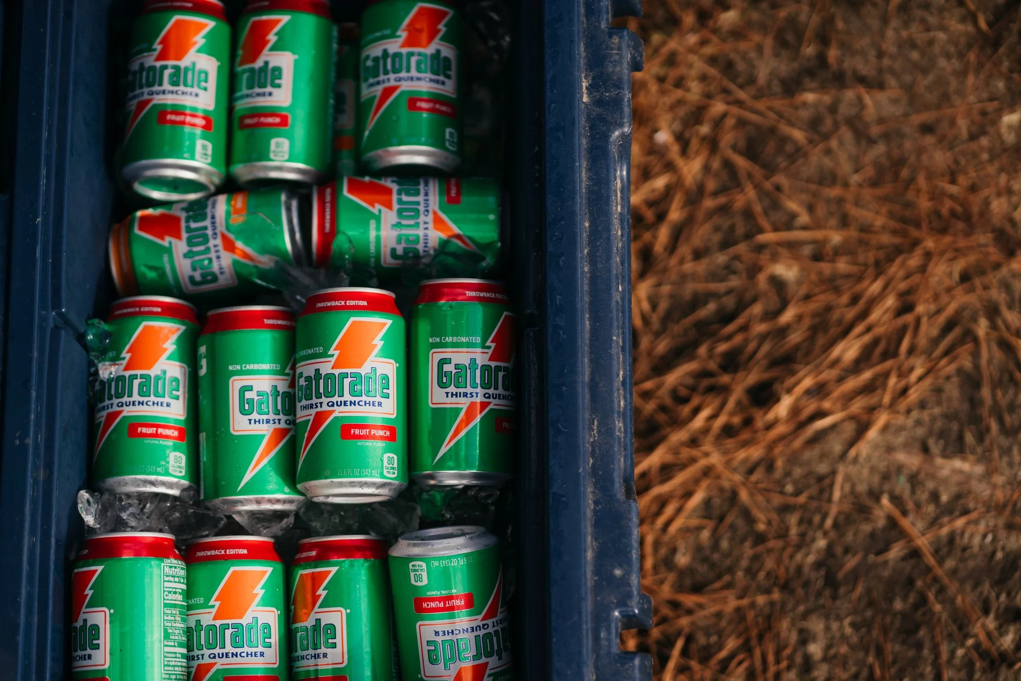 Tree Farm Photos 2023 Marsh - 39.JPG