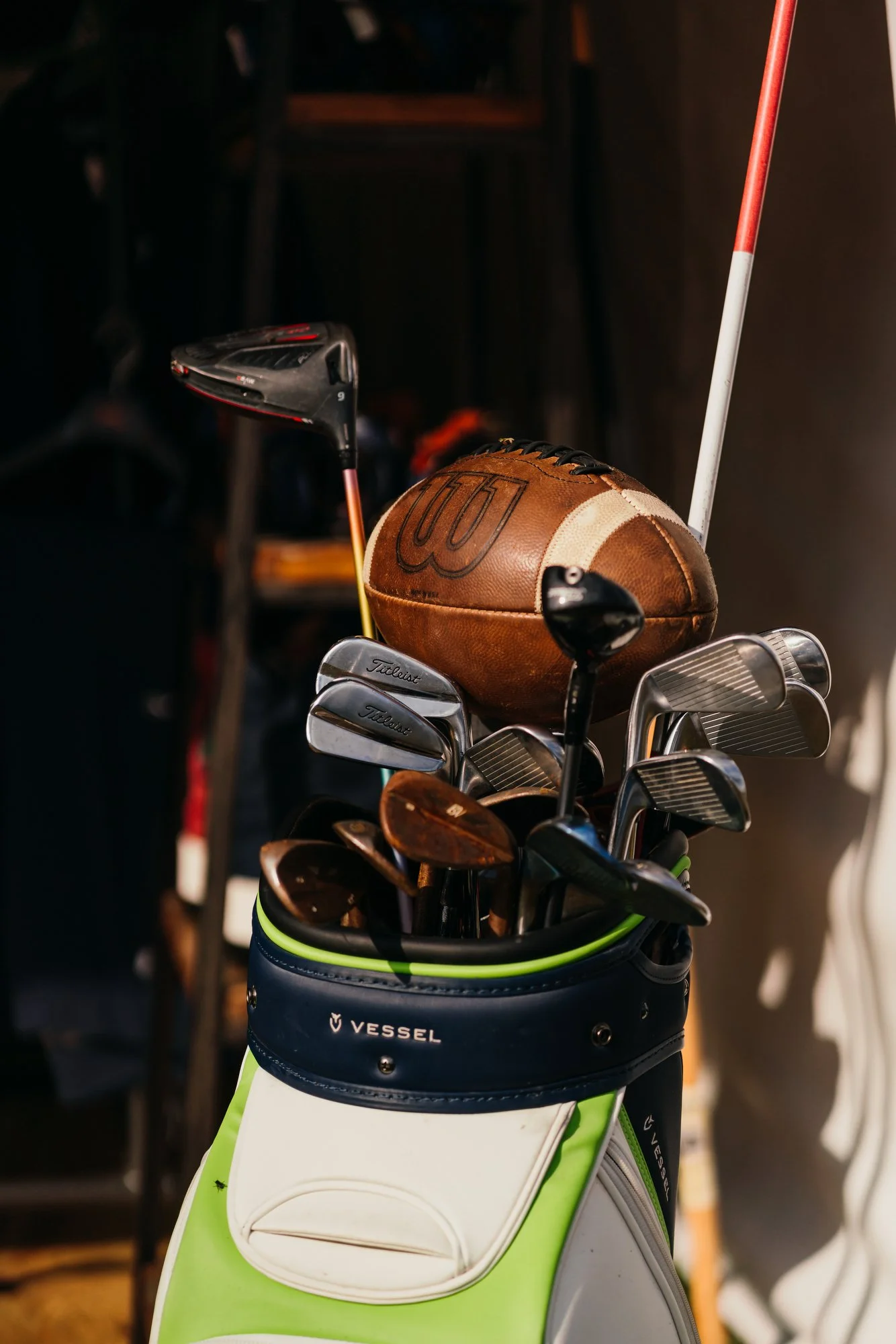 Tree Farm Photos 2023 Marsh - 46.JPG