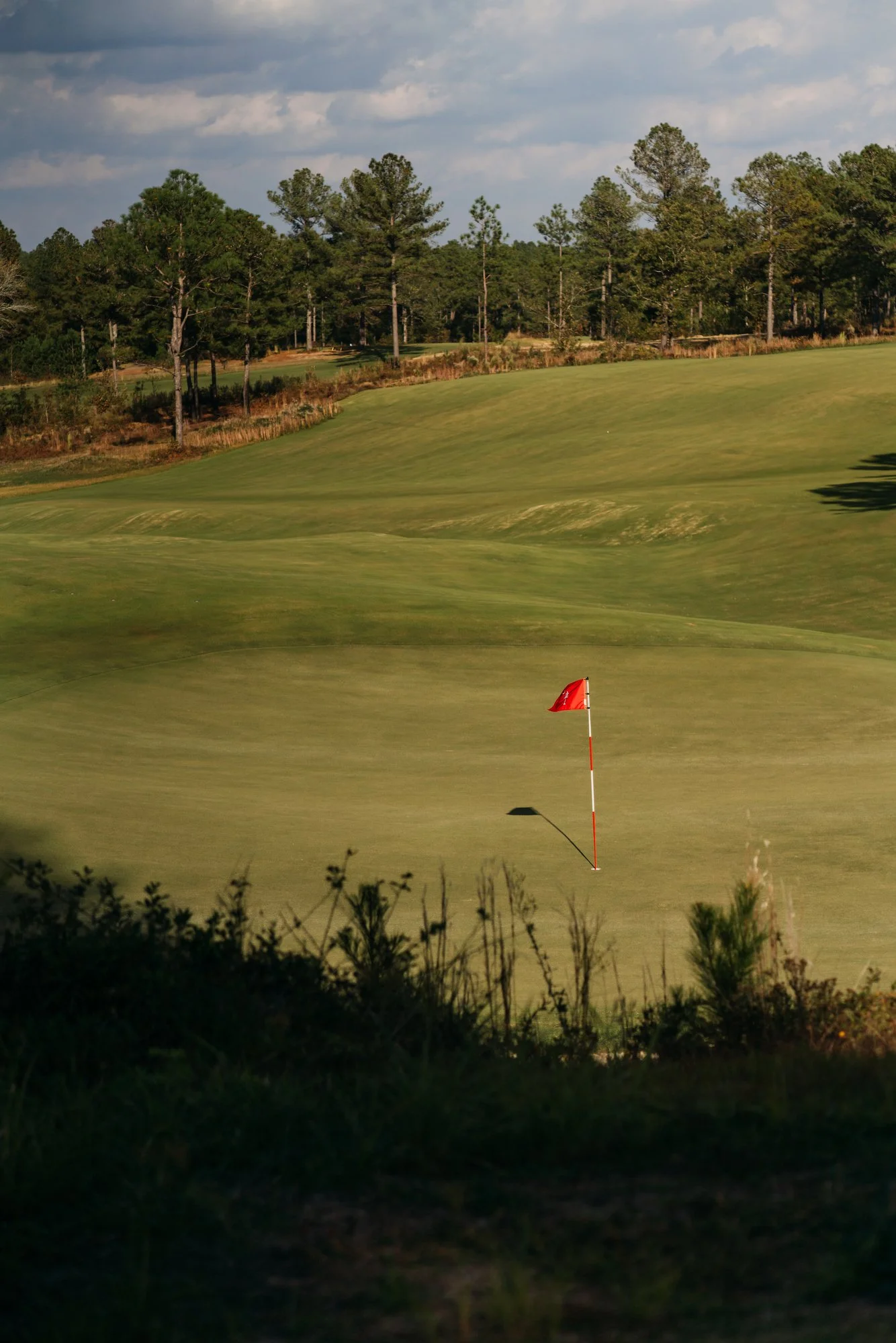 Tree Farm Photos 2023 Marsh - 61.JPG