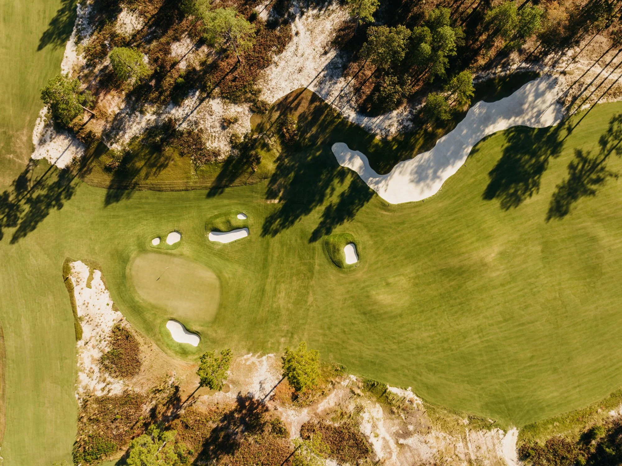 Tree Farm Aerial 2023 Marsh  - 25.JPG