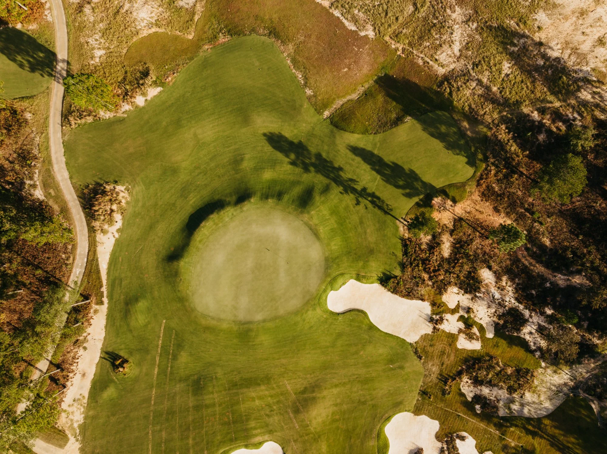 Tree Farm Aerial 2023 Marsh  - 39.JPG