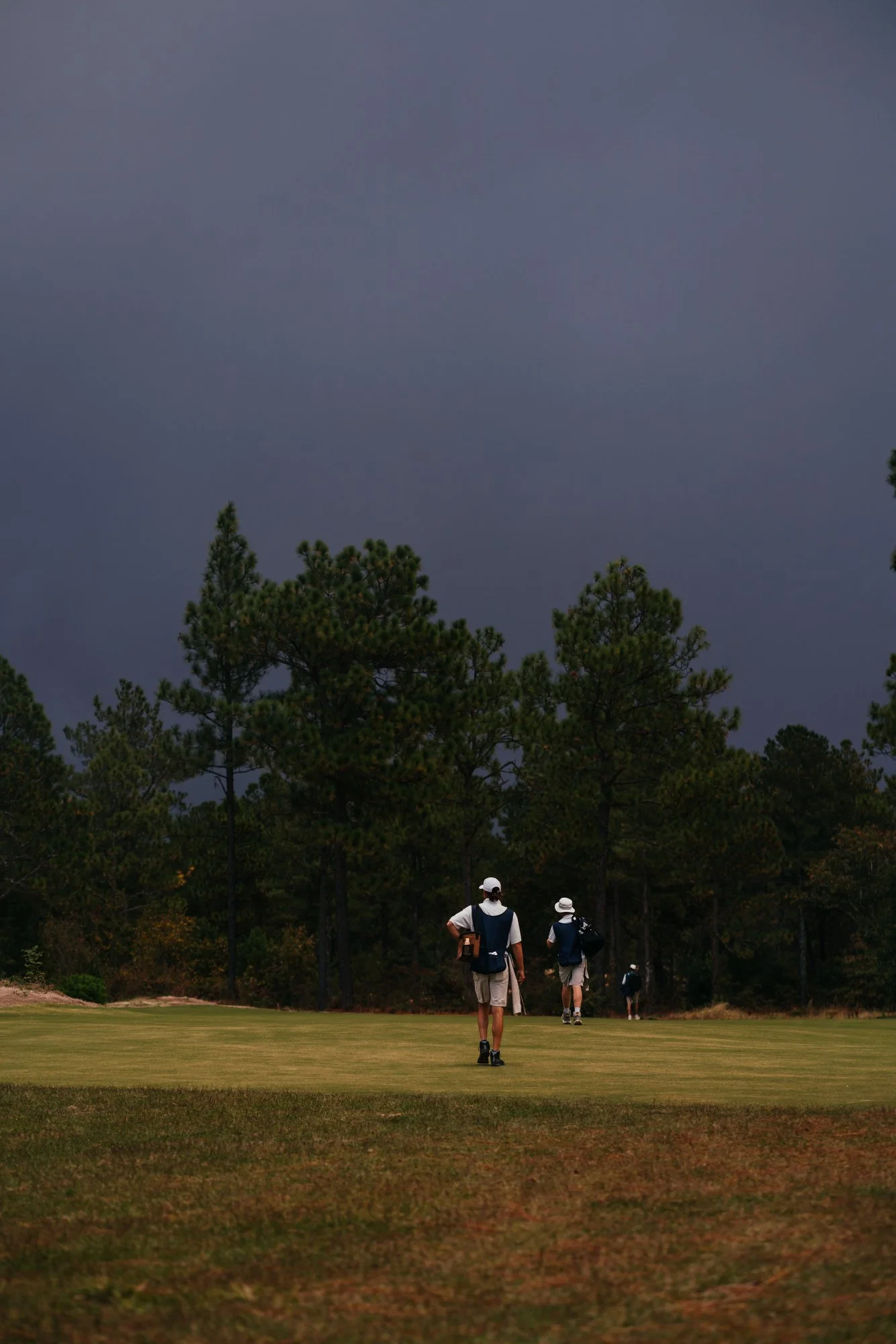 Tree Farm Photos 2023 Marsh - 79.JPG