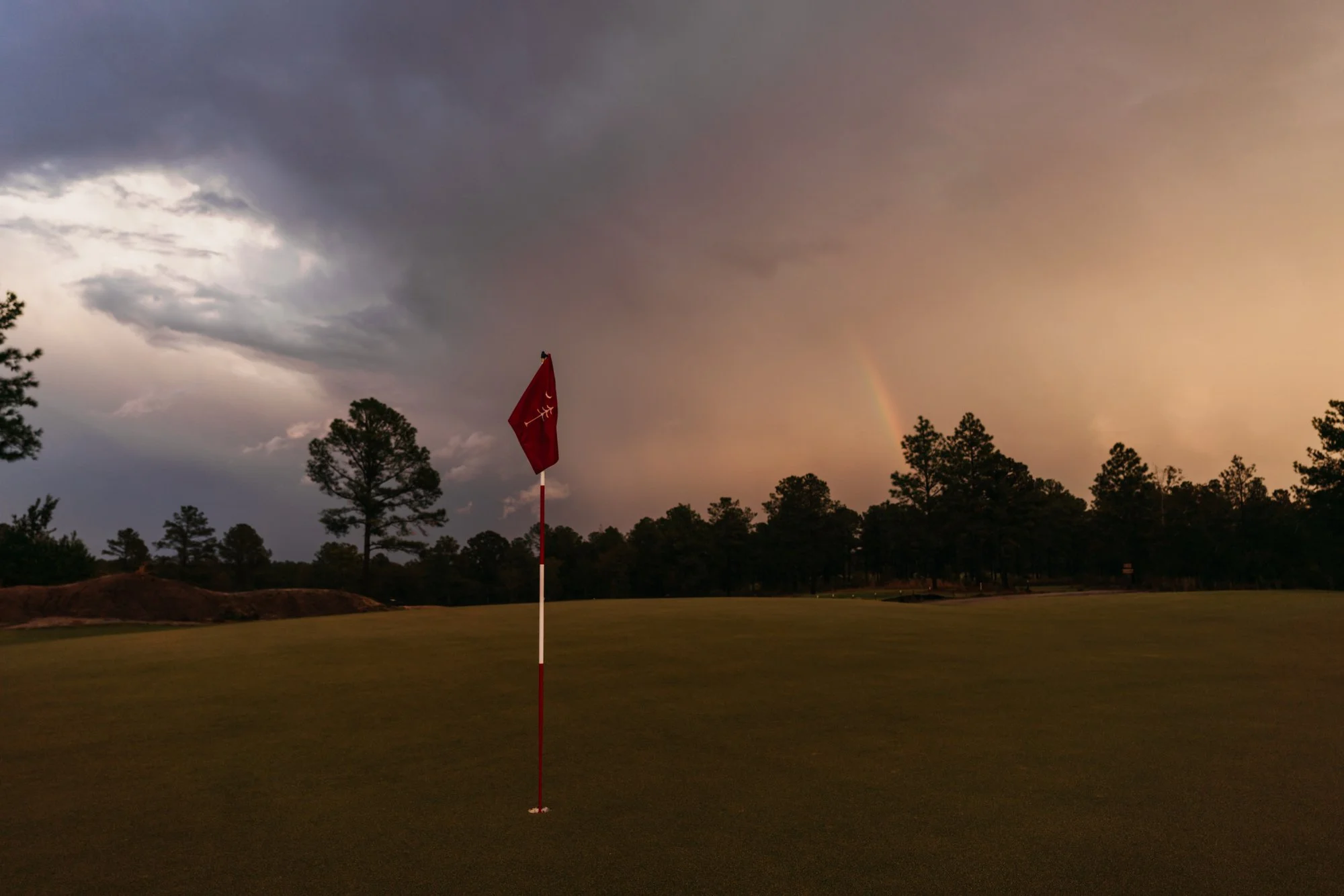 Tree Farm Photos 2023 Marsh - 86.JPG