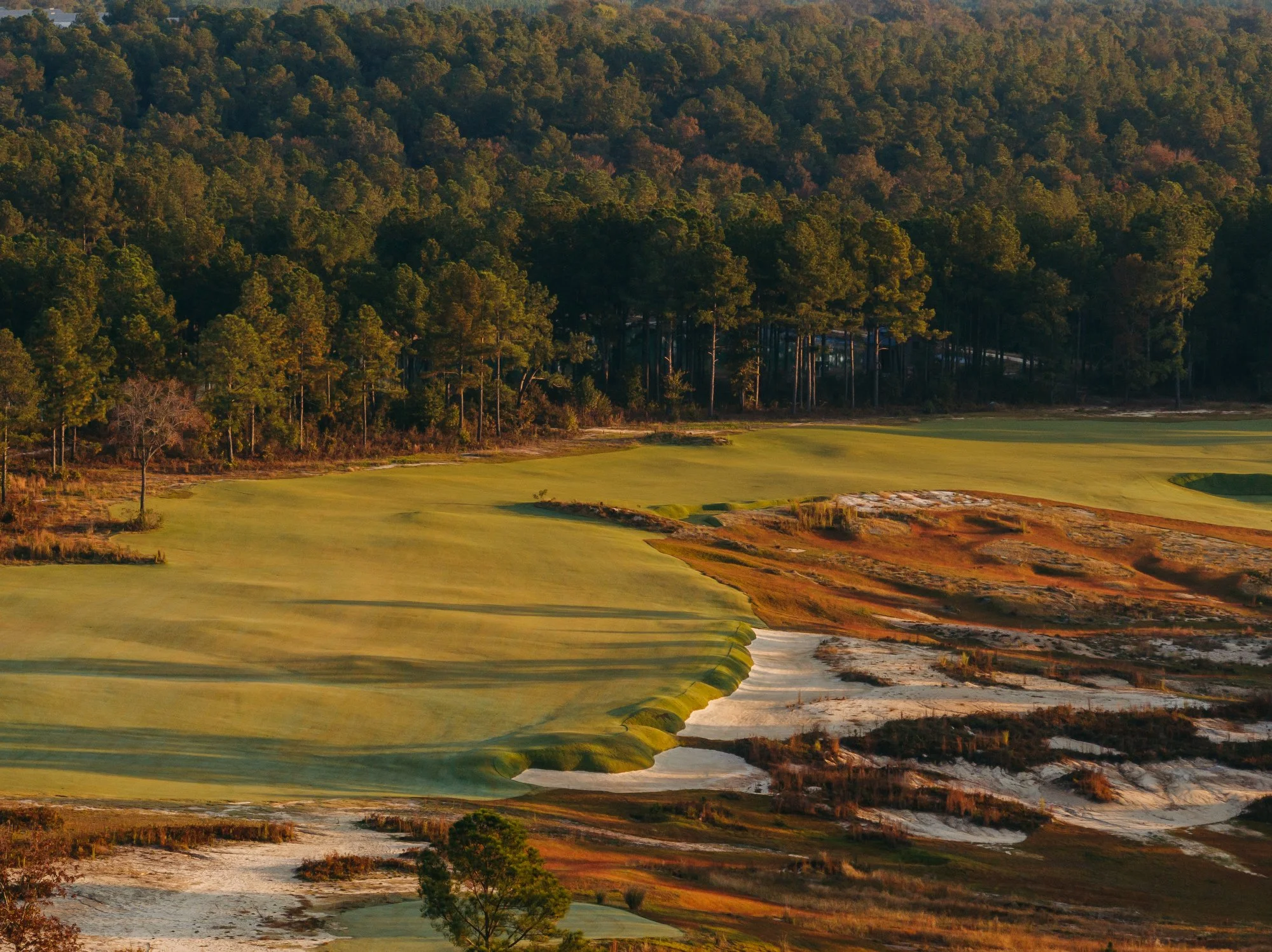 Tree Farm Aerial 2023 Marsh  - 136.JPG