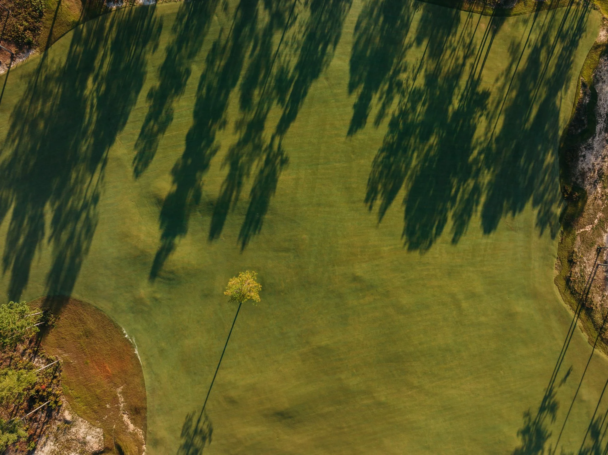 Tree Farm Aerial 2023 Marsh  - 157.JPG