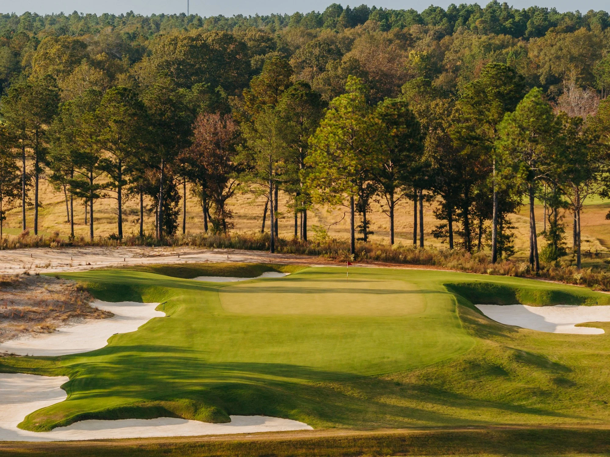 Tree Farm Aerial 2023 Marsh  - 173.JPG