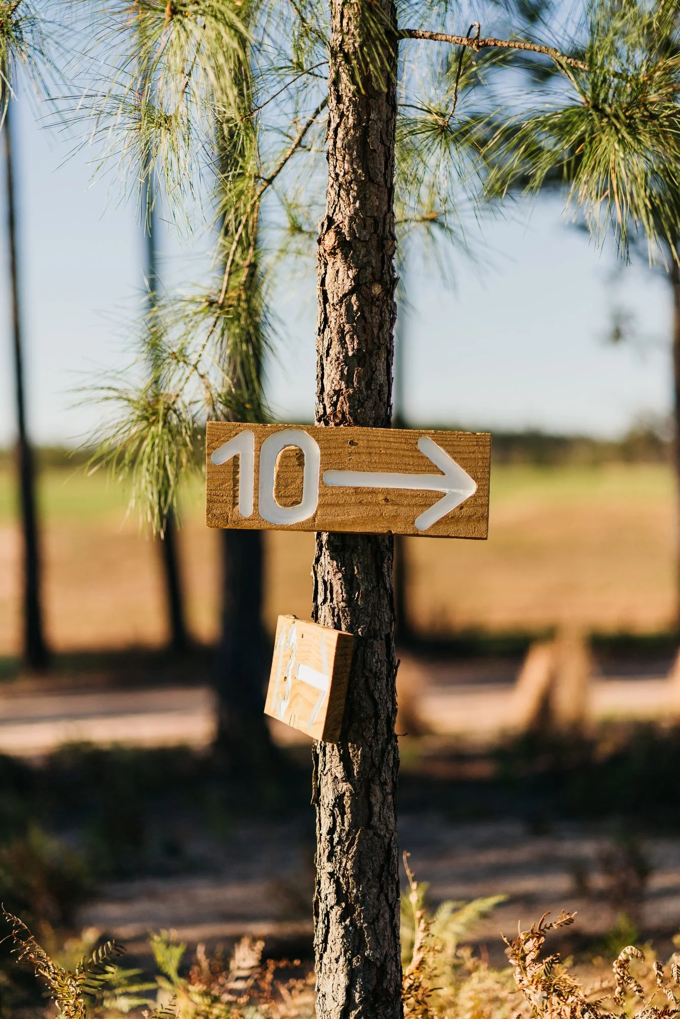 Old Barnwell Photos 2023 Marsh - 107.JPG