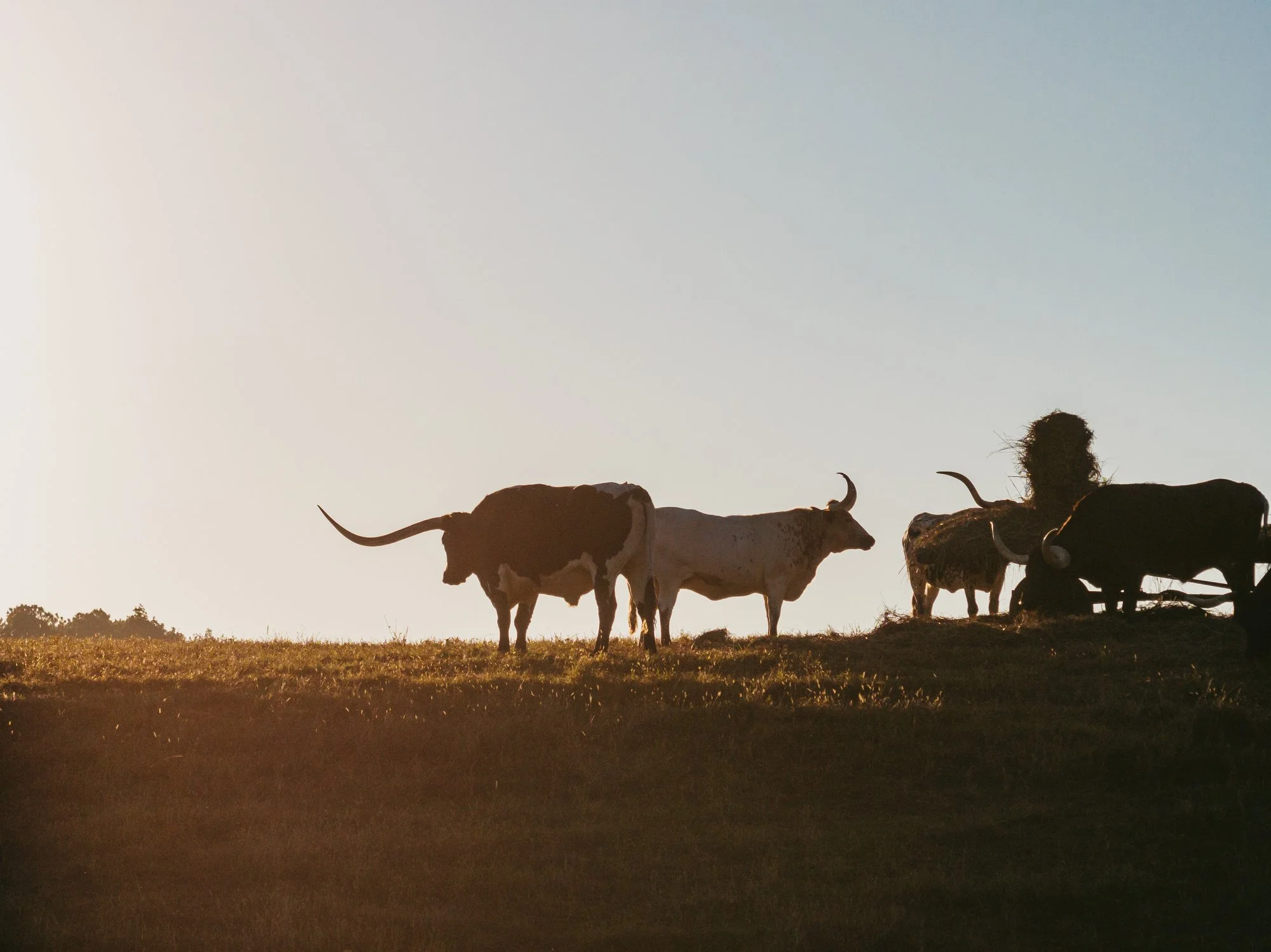 Pursell - Aerial-047.JPG