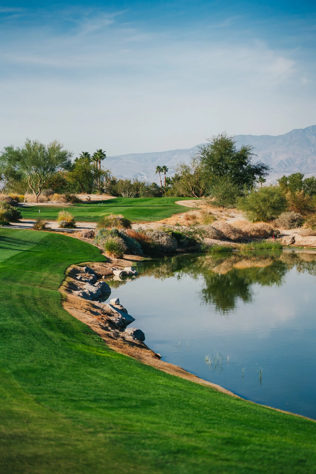 Rams Hill Photos 2023 - Marsh-101.JPG