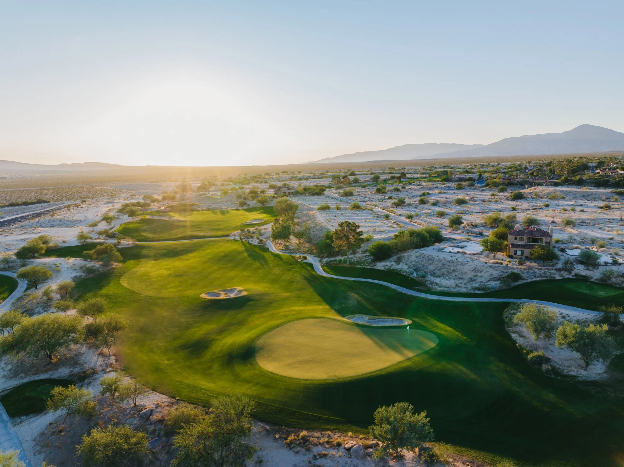 Rams to make web size-02.JPG