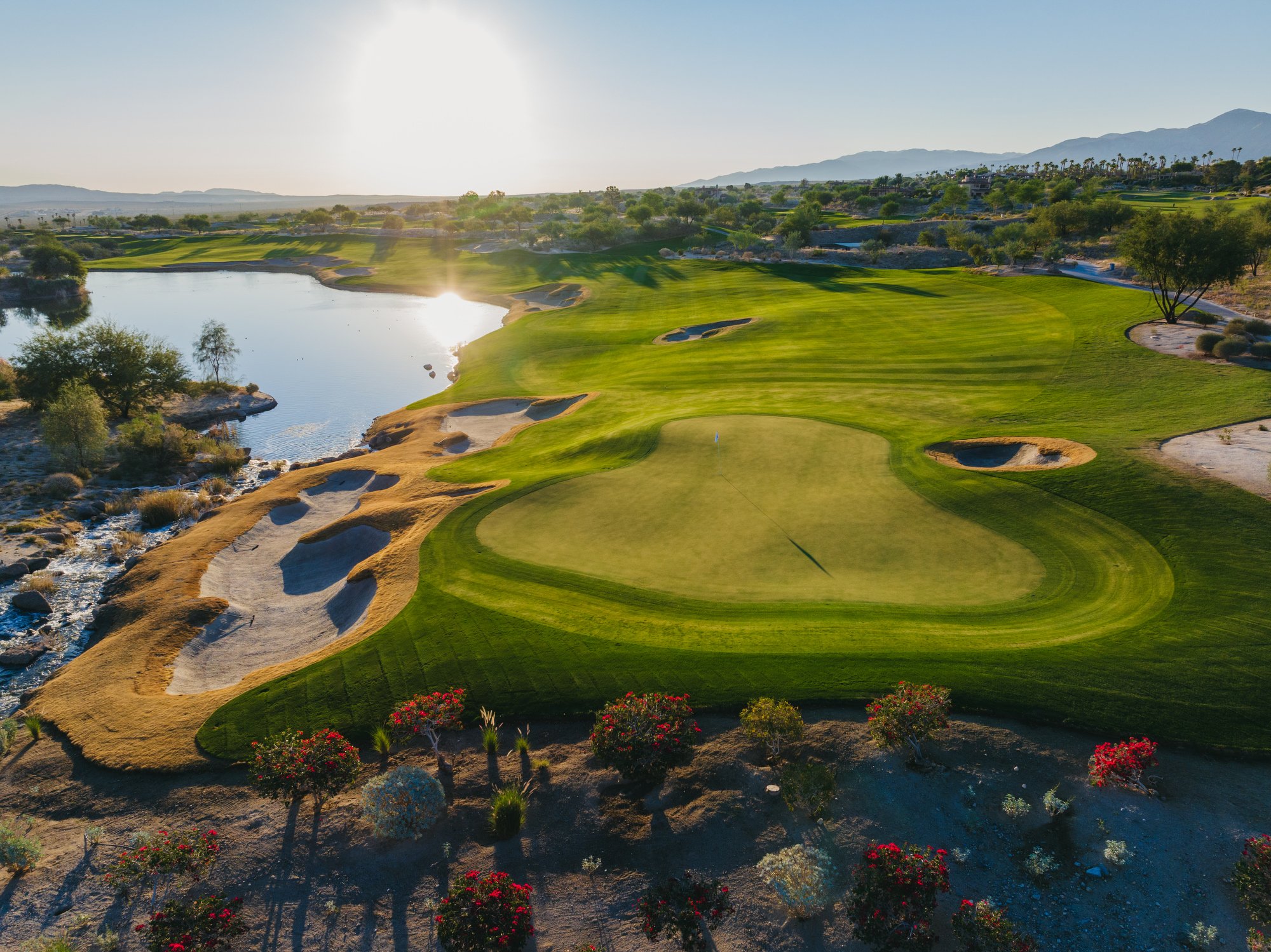 Rams to make web size-03.JPG