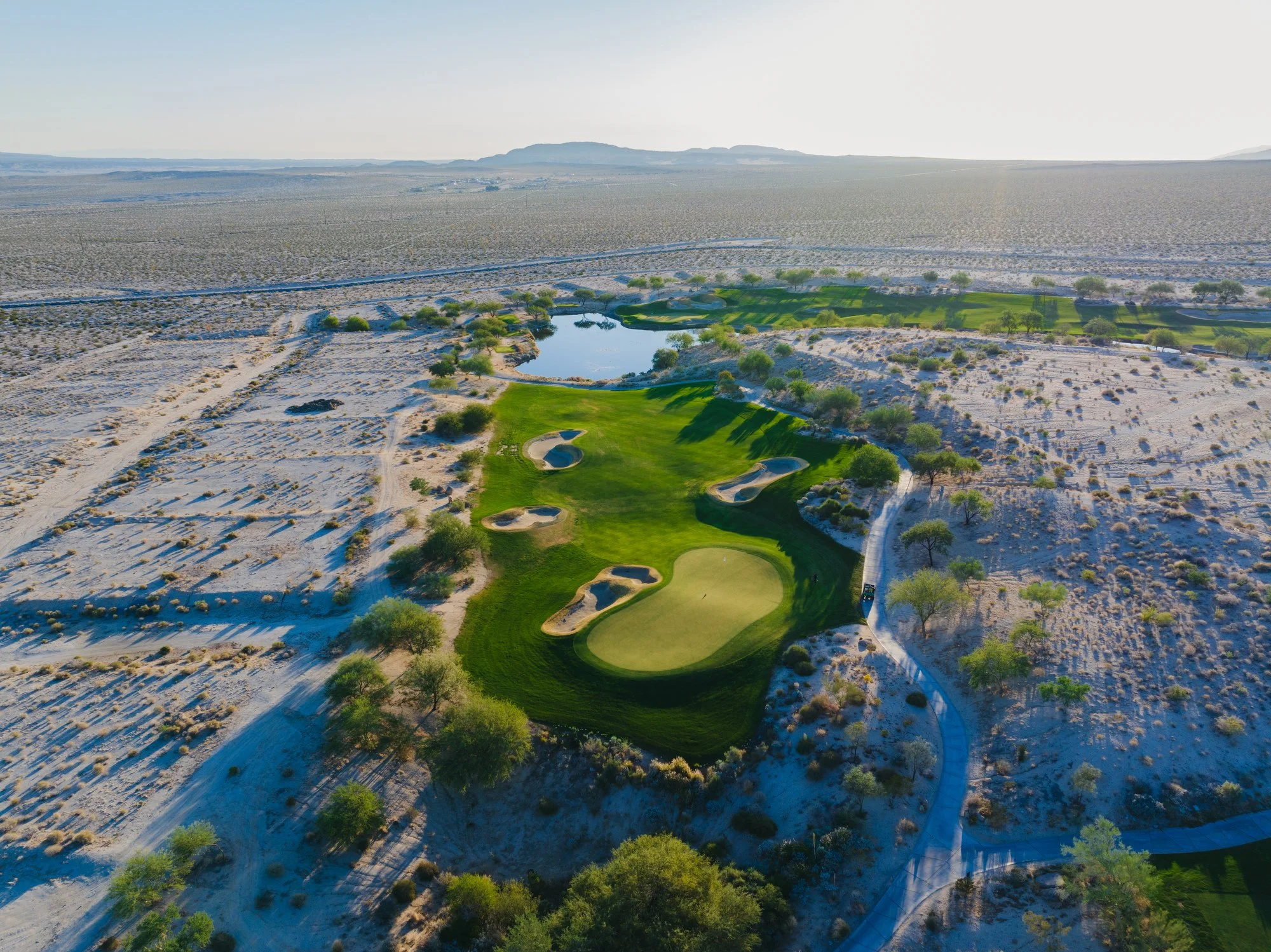 Rams to make web size-05.JPG