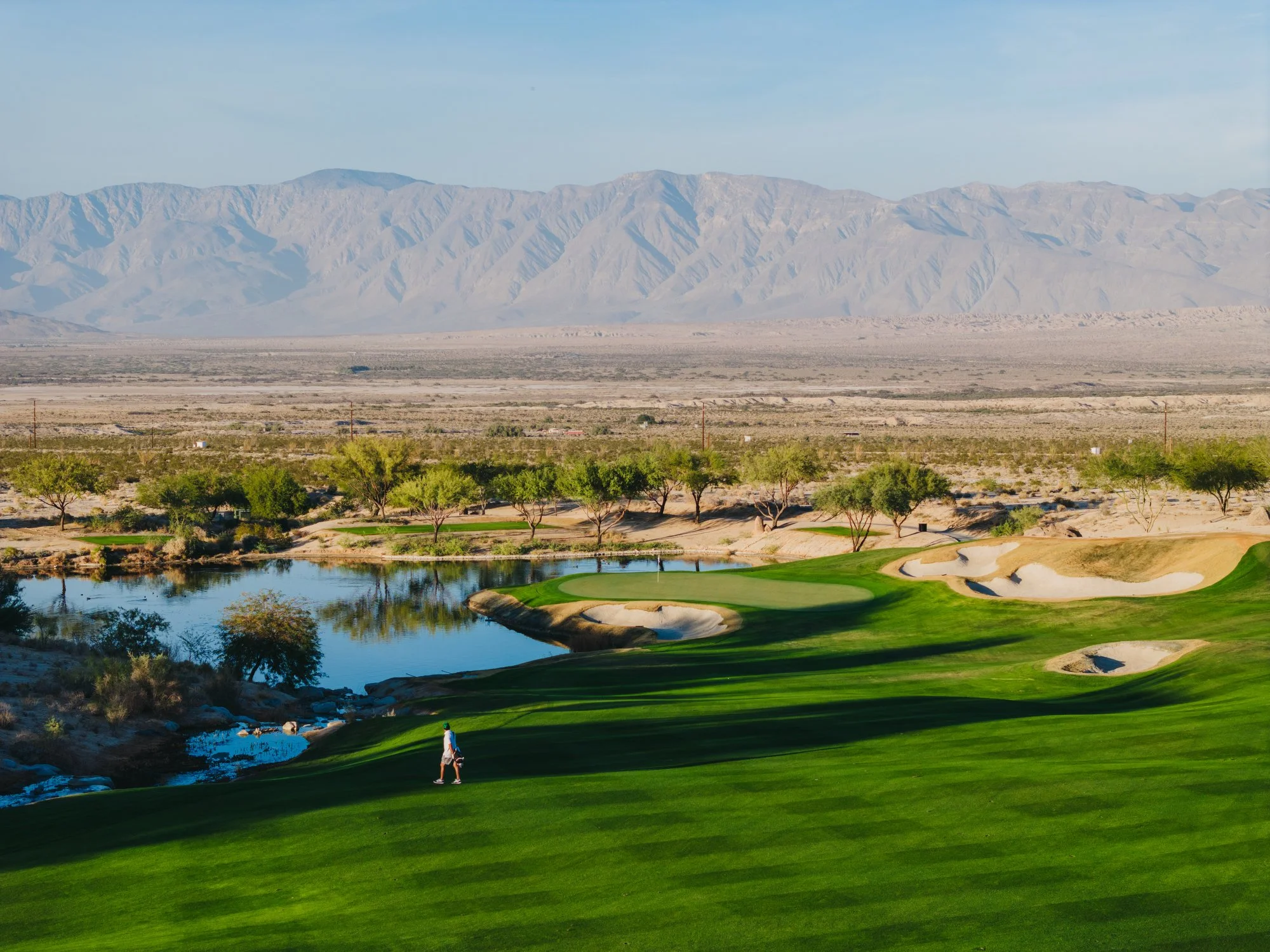 Rams to make web size-09.JPG