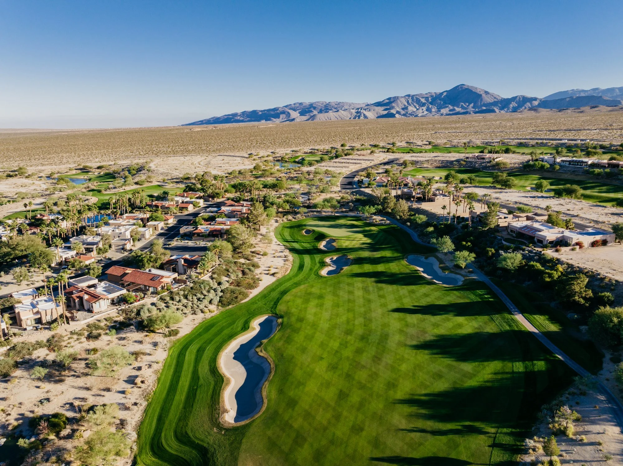 Rams to make web size-16.JPG