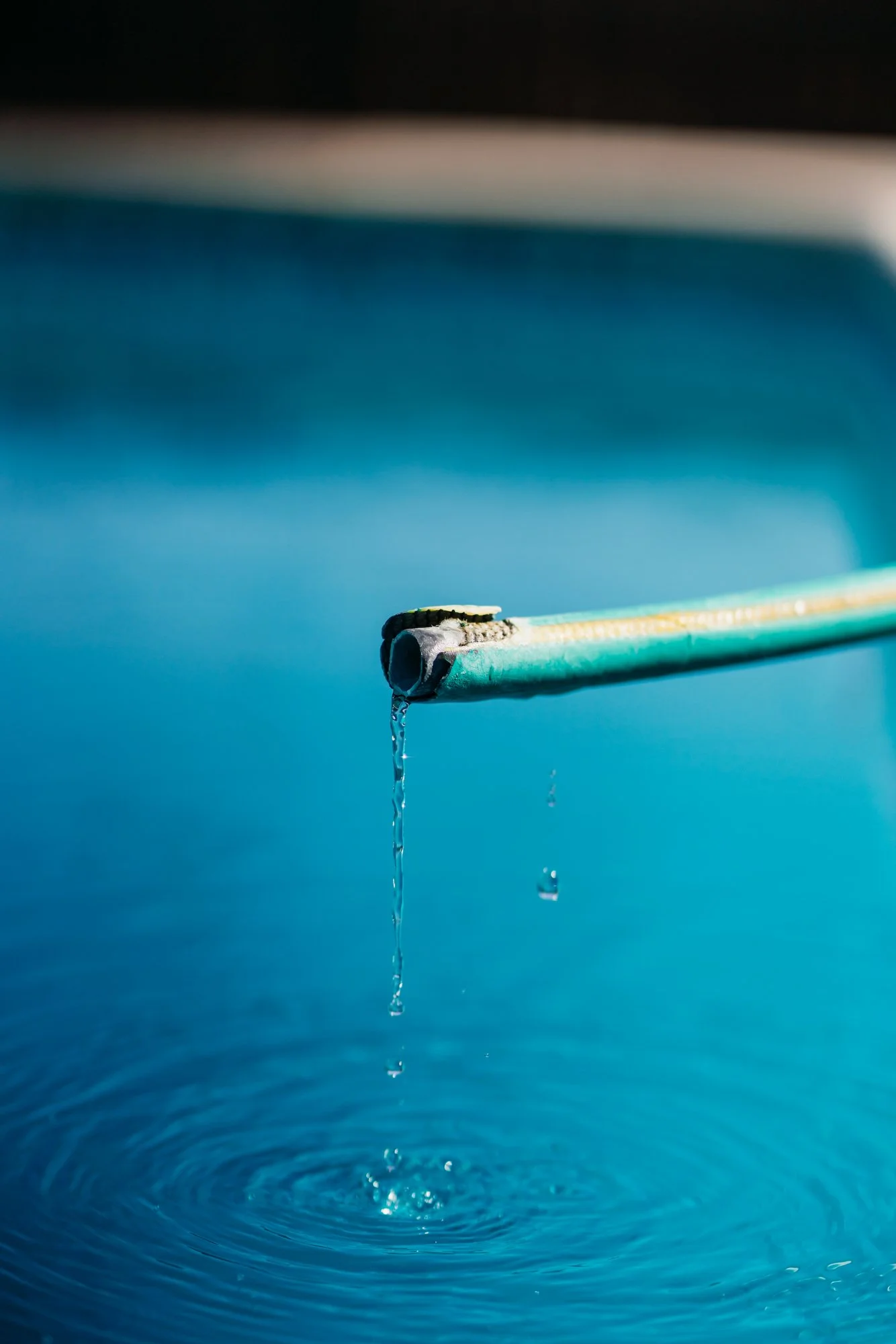 Rams to make web size-30.JPG