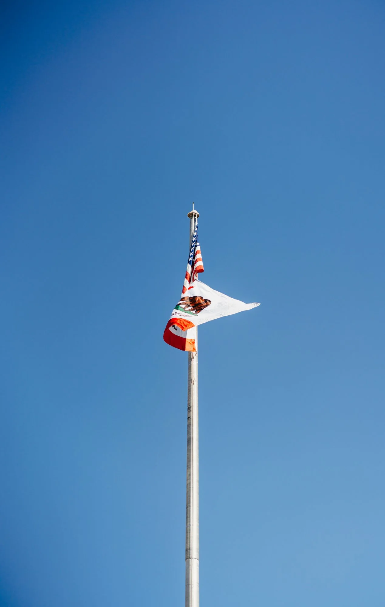 Rams to make web size-36.JPG