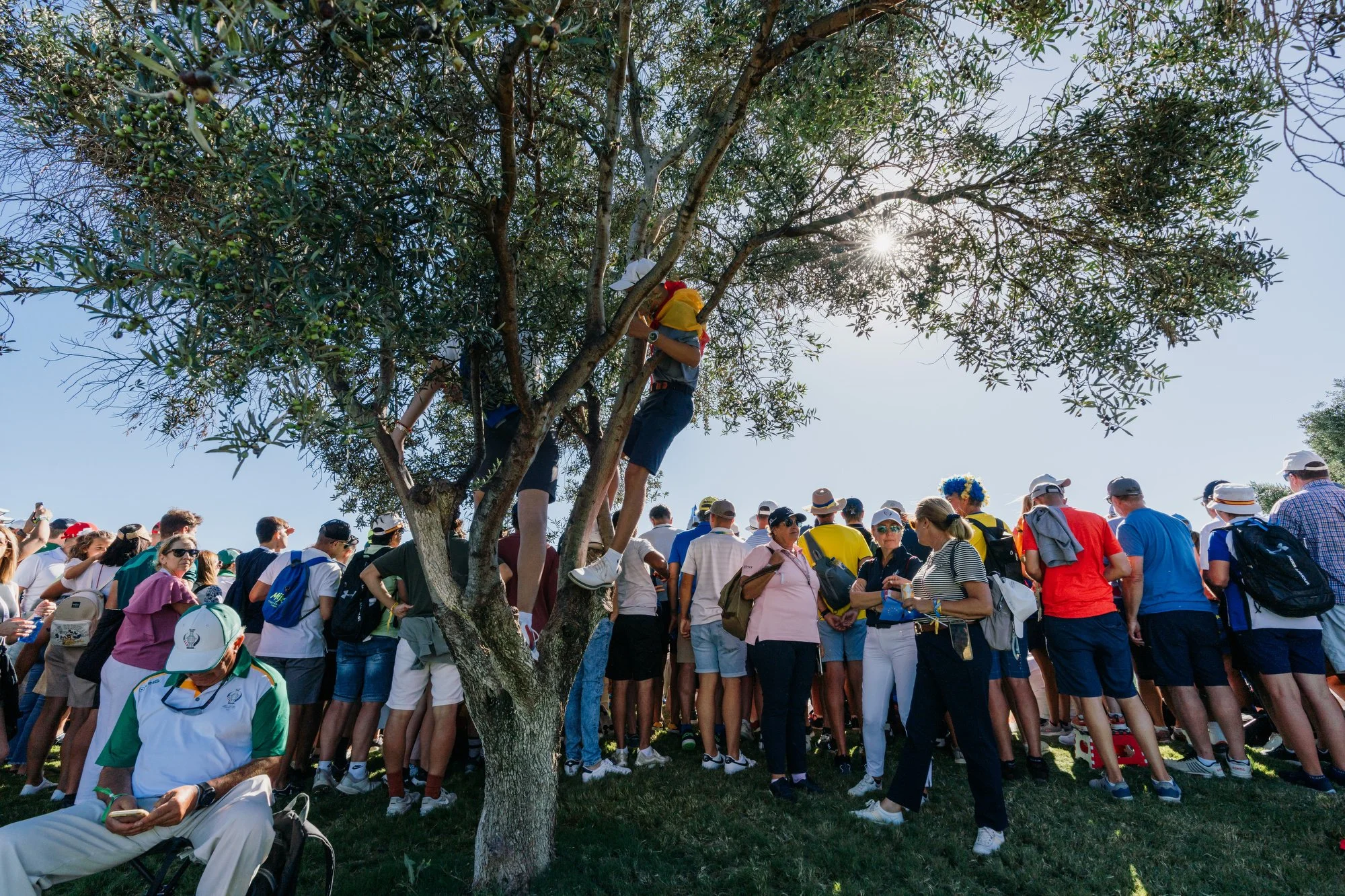 SC 23 SUN Selects-104.JPG