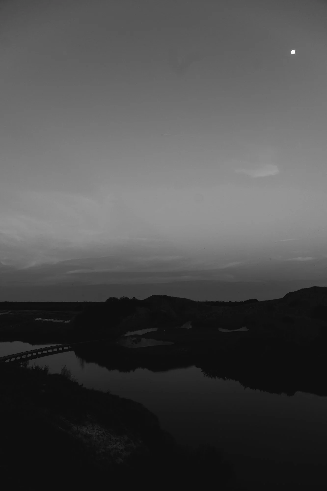 Streamson Black - Marsh - 42.JPG