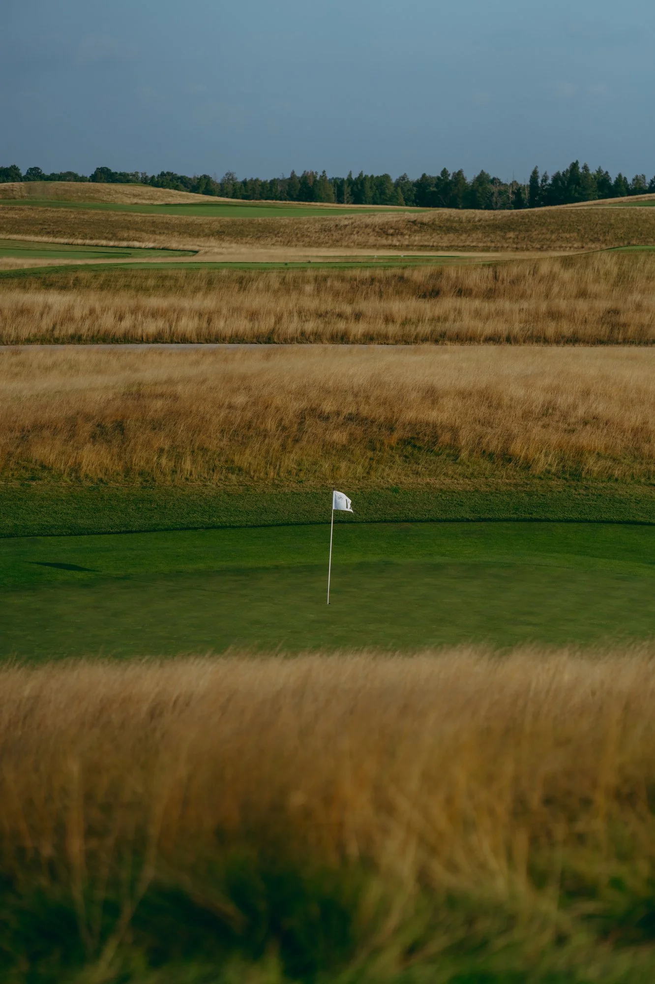 ERIN HILLS 2023 - Marsh - 99.JPG